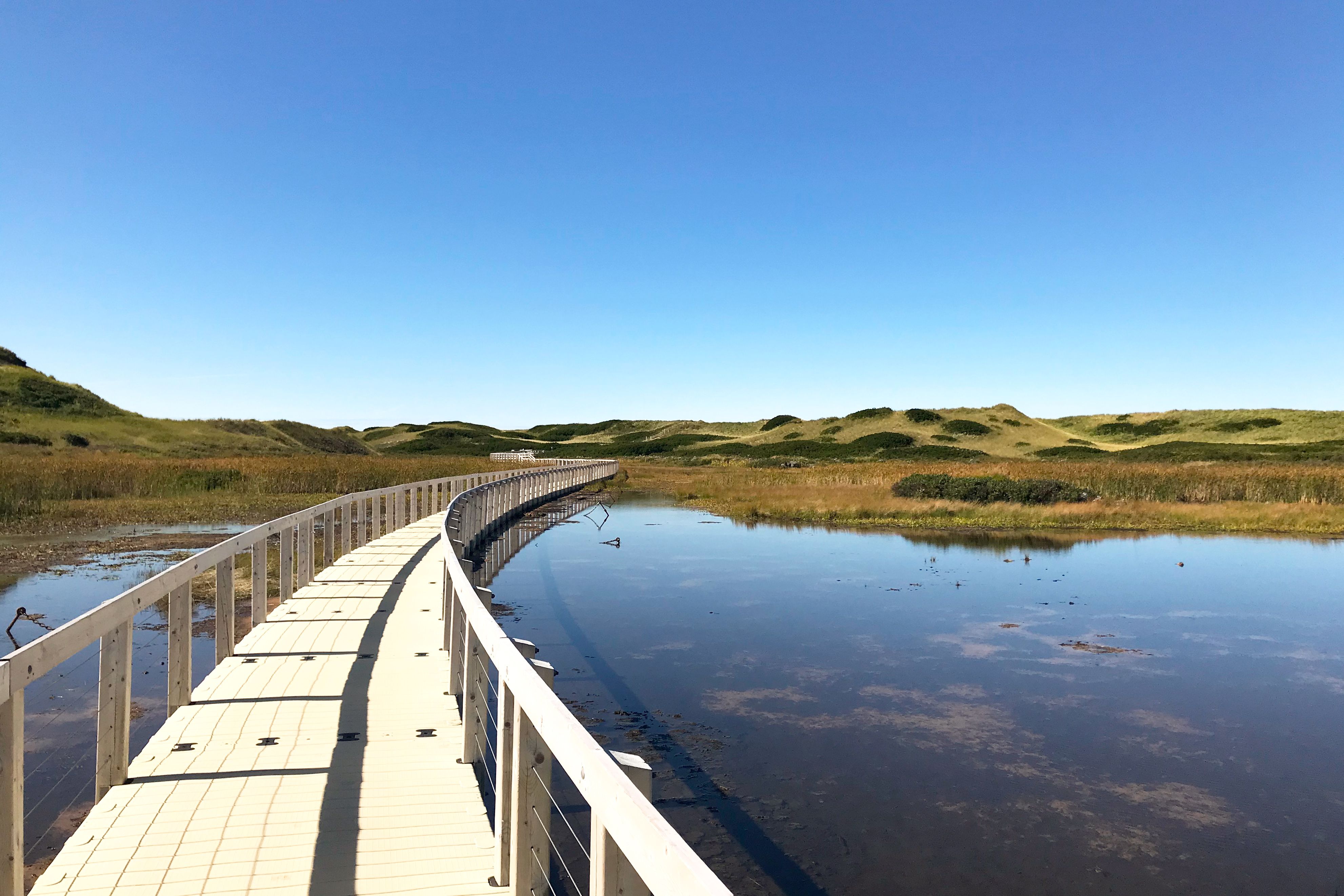 Blick auf einen Teil des Greenwich Dunes Trails im Prince Edward National Park