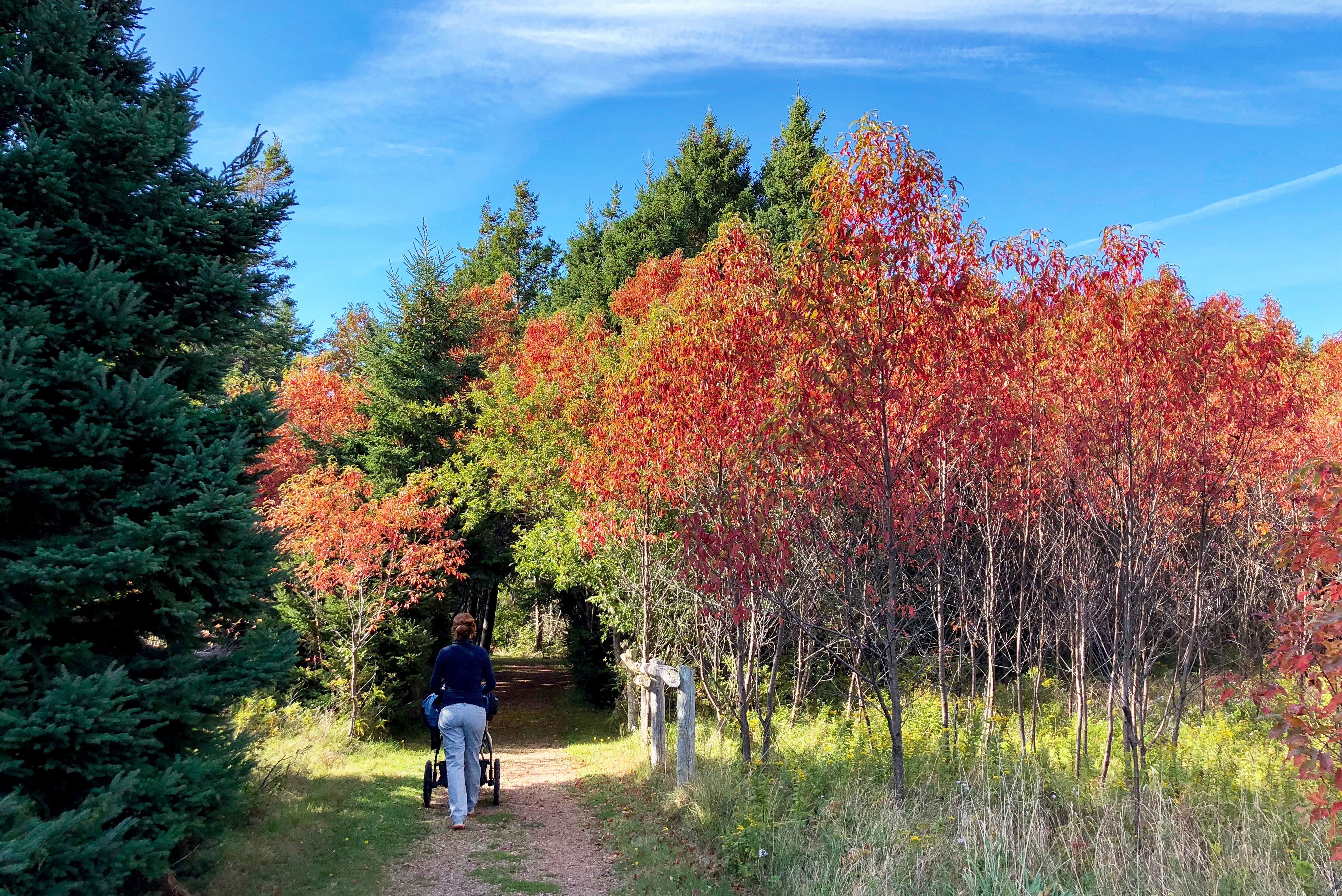 Spaziergang im Prince Edward Island National Park in Stanhope