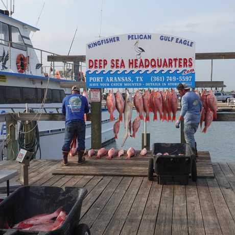 Deep sea headquarters port aransas coupon code