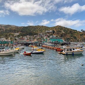 Der Hafen von Avalon auf Santa Catalina Island