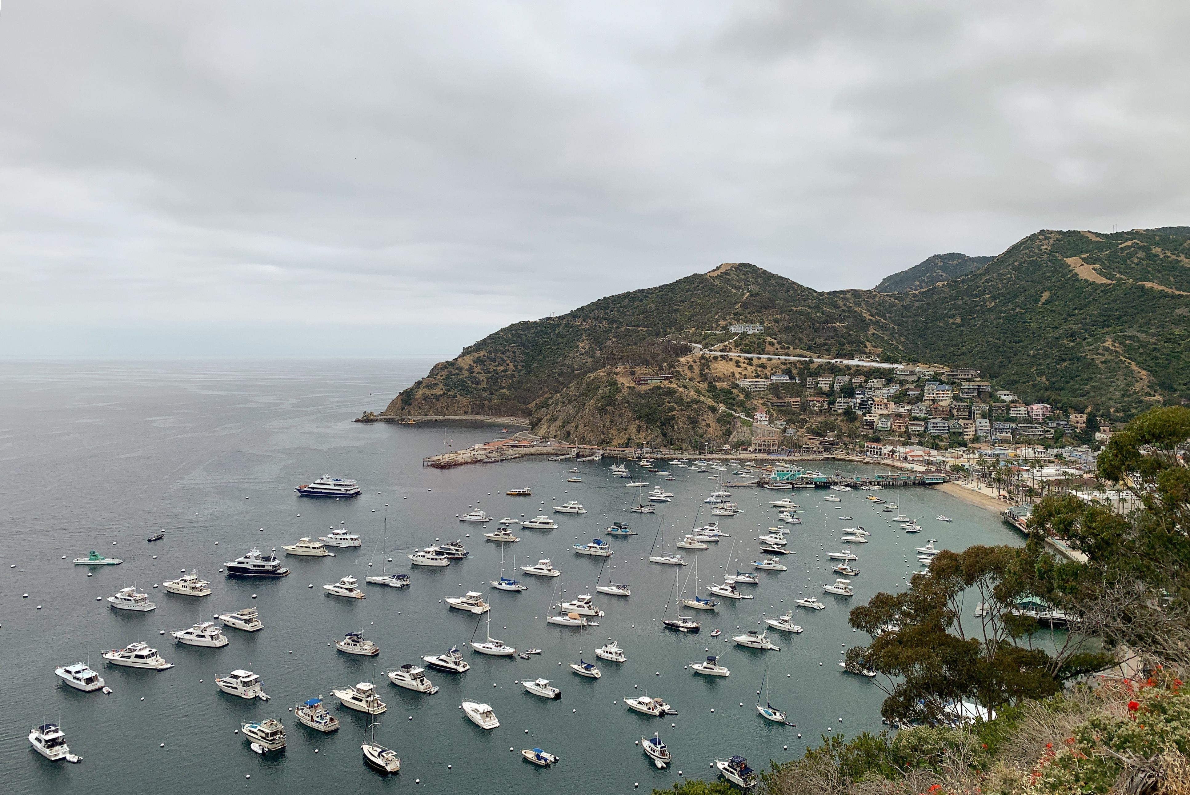 Blick auf den Hafen von Avalon an der Küste von Santa Catalina Island