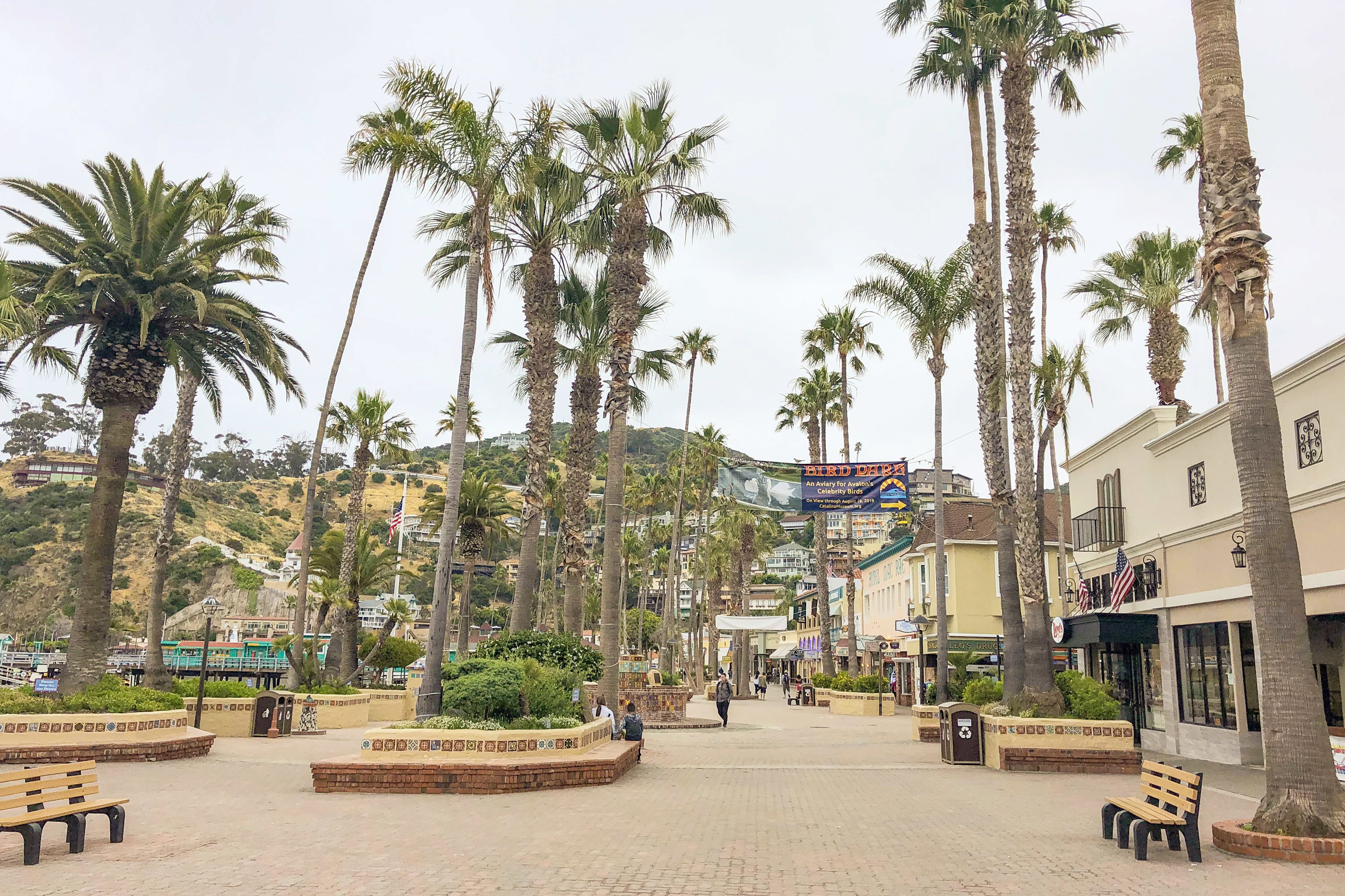 Impressionen der Insel Santa Catalina Island