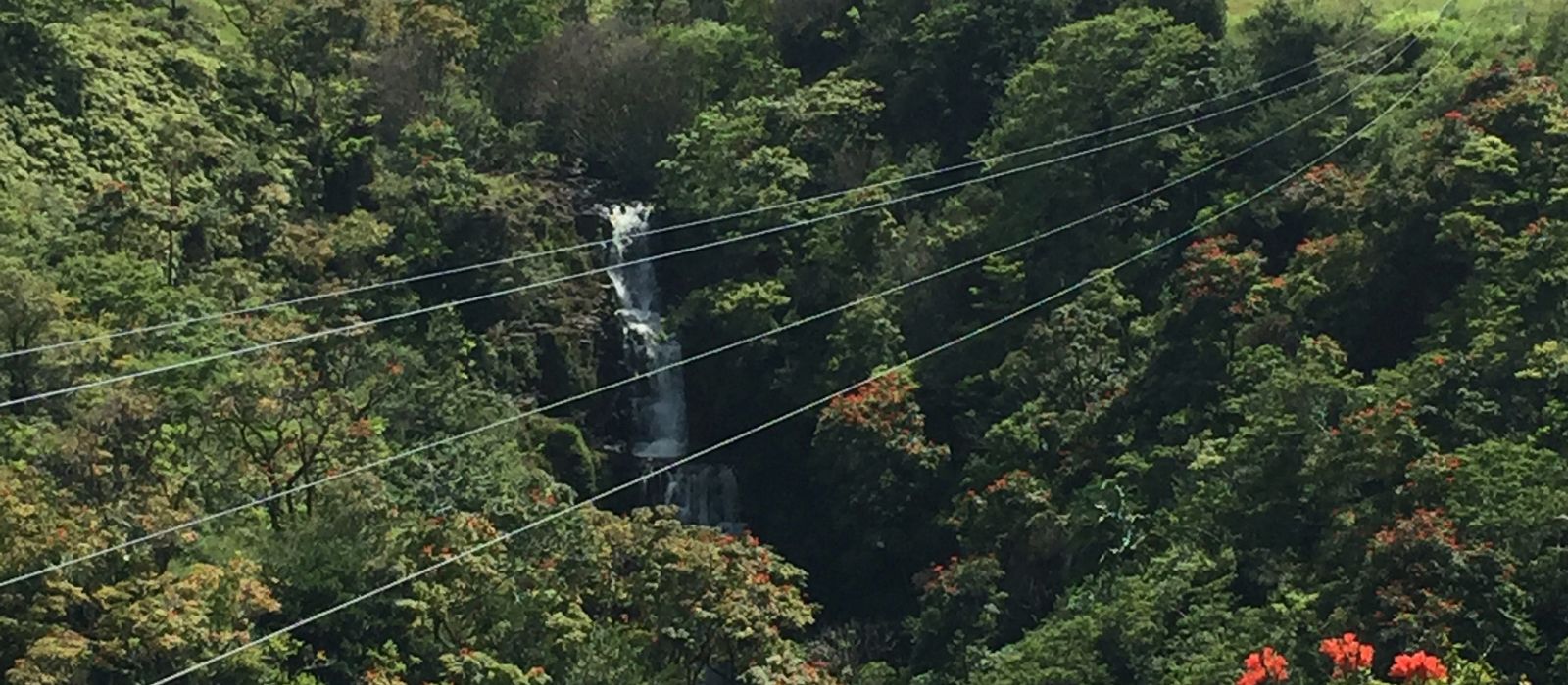 Zip-Lining über den Kamaee Falls