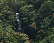 allgemein/storytelling/19-katja-hoebel-hawaii/botanical-adventures-hawaii-tag-09-06.cr2448x1071-0x1173 allgemein/storytelling/19-katja-hoebel-hawaii/botanical-adventures-hawaii-tag-09-06.cr2448x1071-0x1173