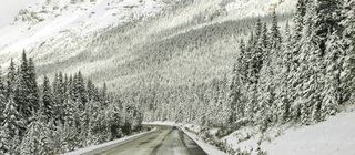 allgemein/storytelling/19-kristin-weide-west-kanada/icefield-parkway.cr6000x2630-0x732