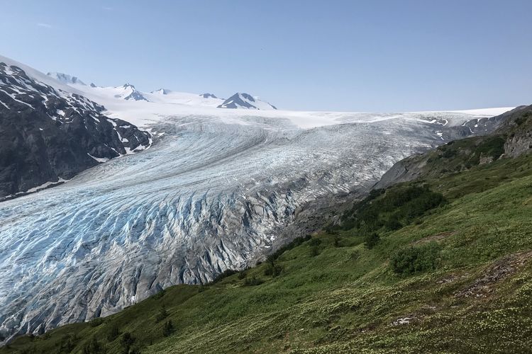 Blick auf den Harding Icefield Gletscher im Kenai-Fjords-Nationalpark