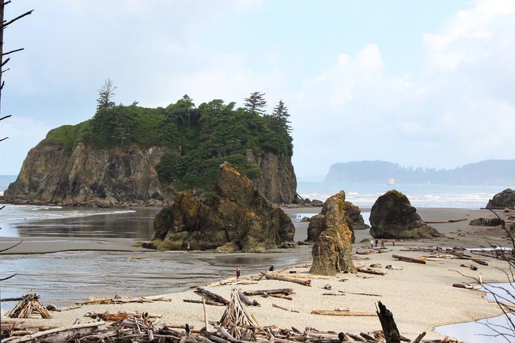 Der Ruby Beach im Olympic Nationalpark an der Küste Washingtons