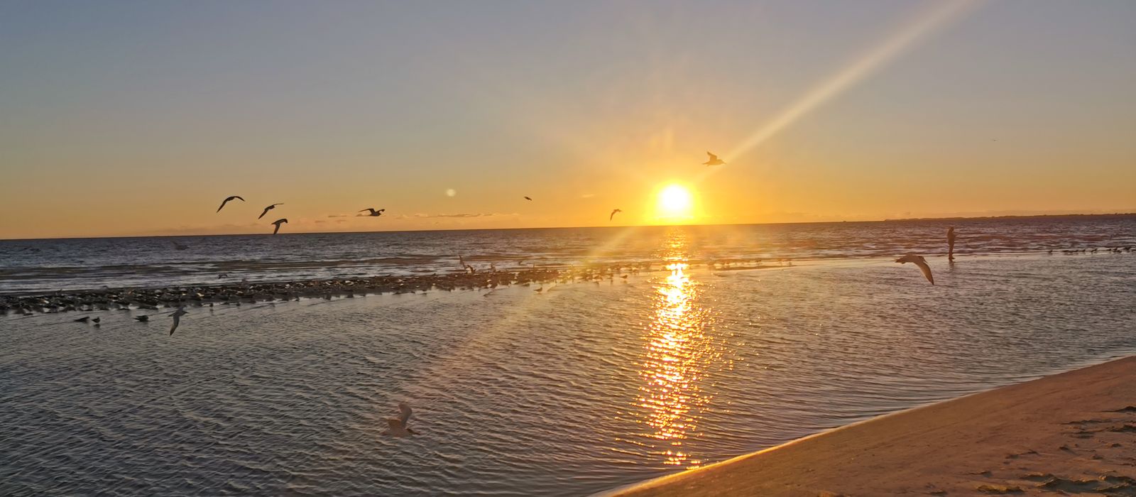 Ein romantischer Sonnenuntergang am Strand von Fort Myers