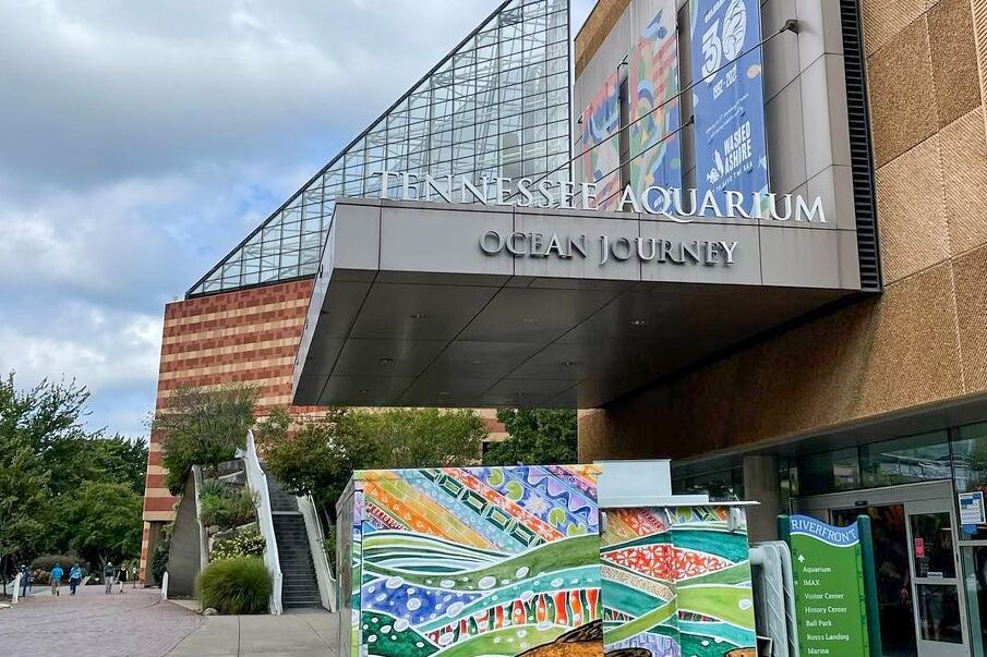 Tennessee Aquarium in Chattanooga