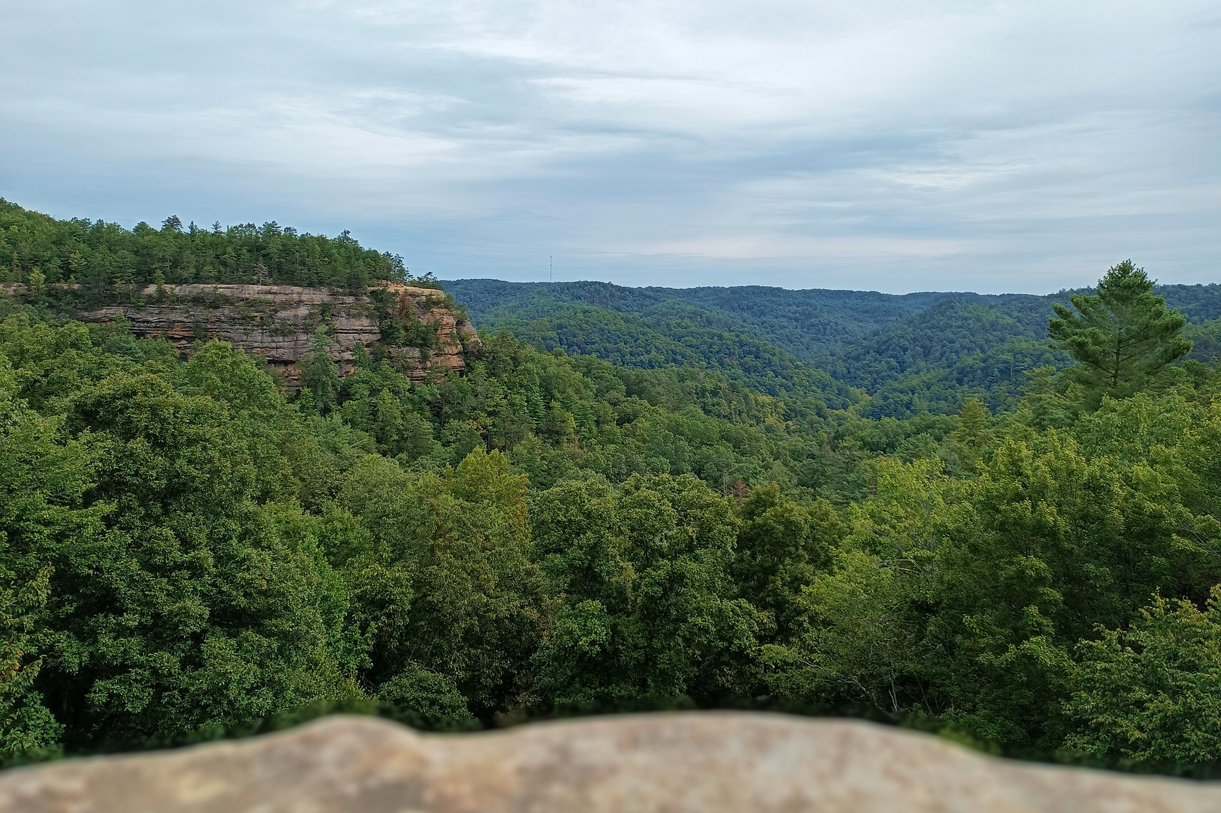 Blick ins Grüne