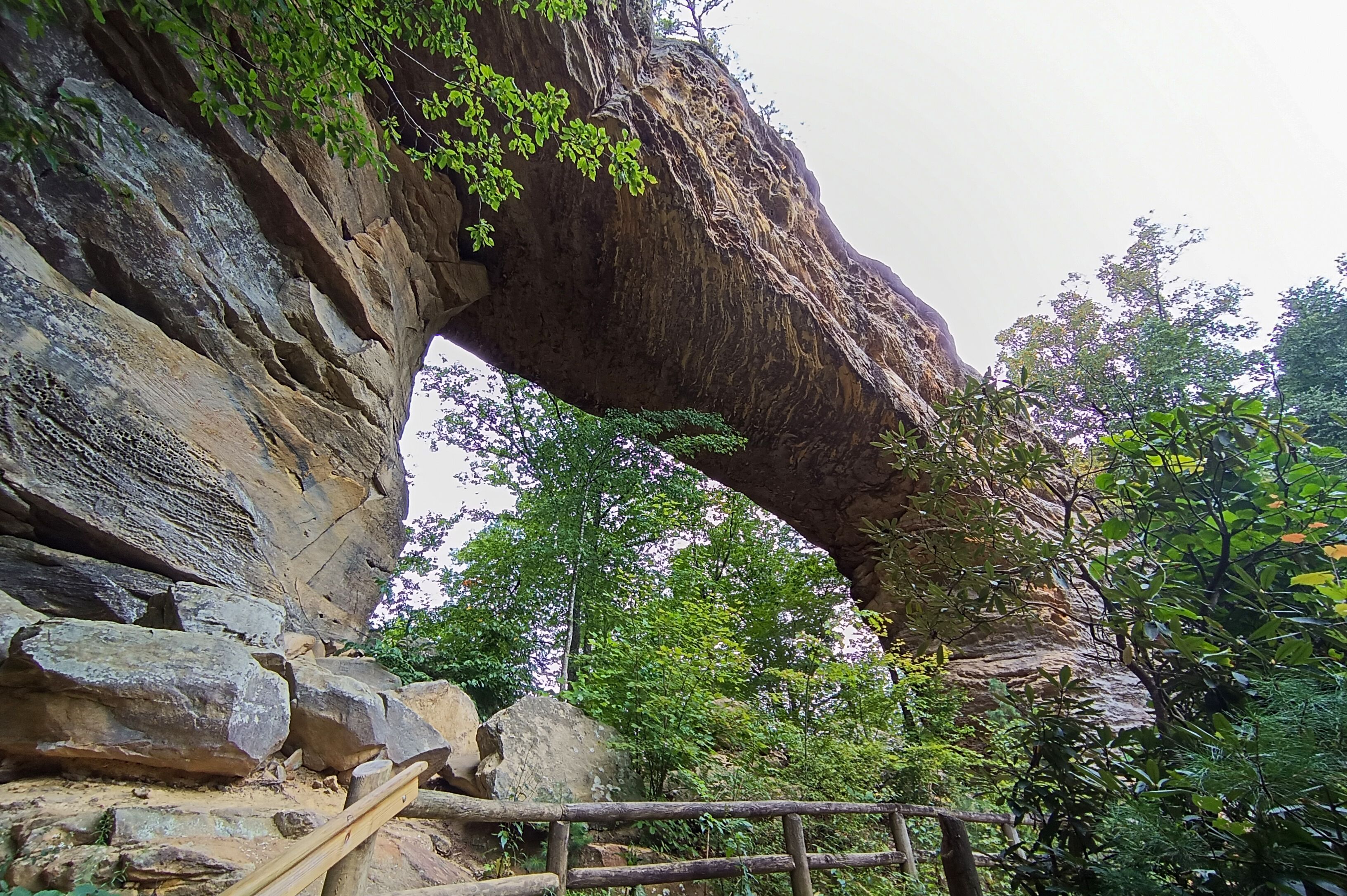 Natural Bridge im Gebiet Red River Gorge