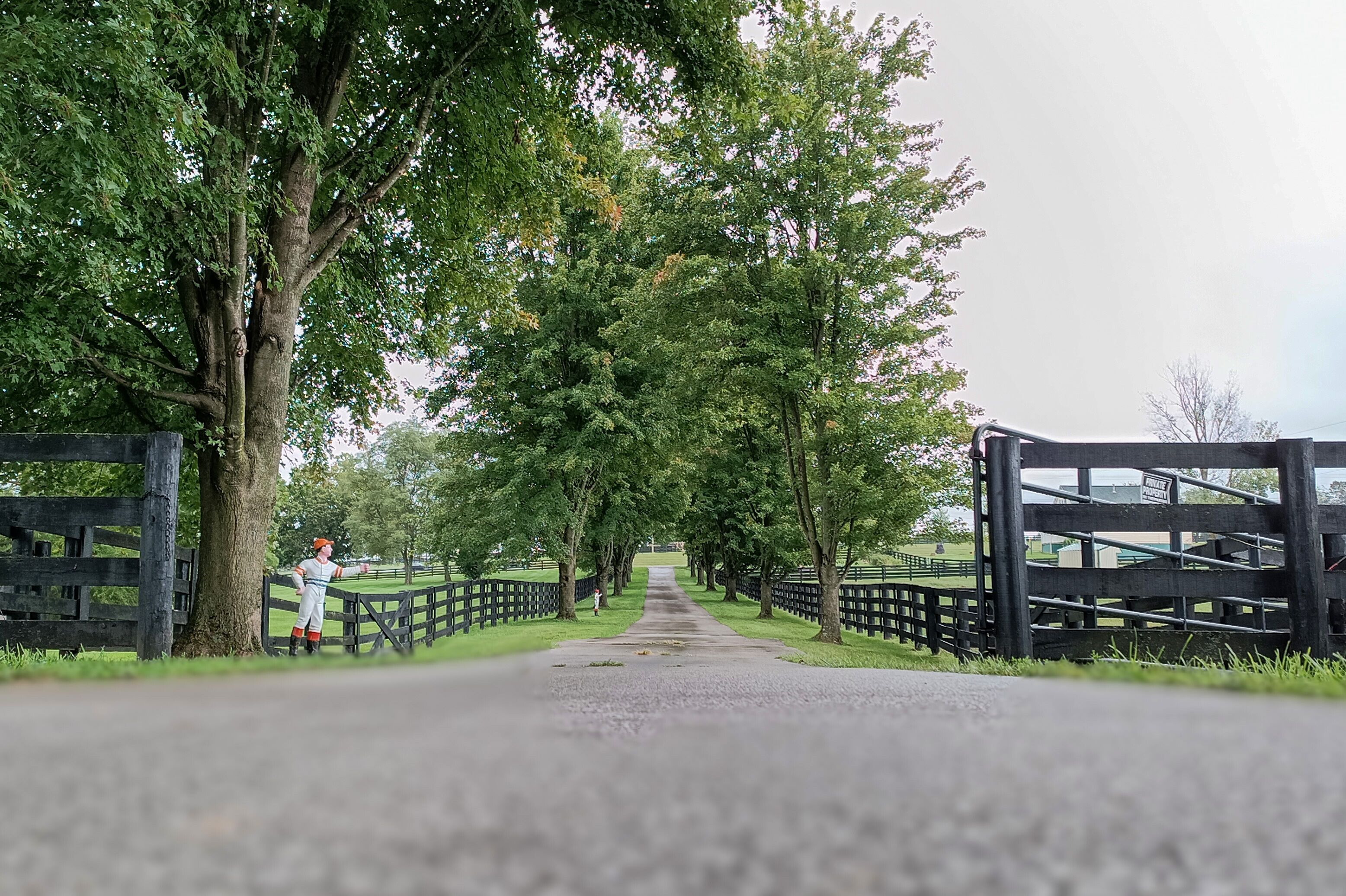 Old Friends Farm in Kentucky