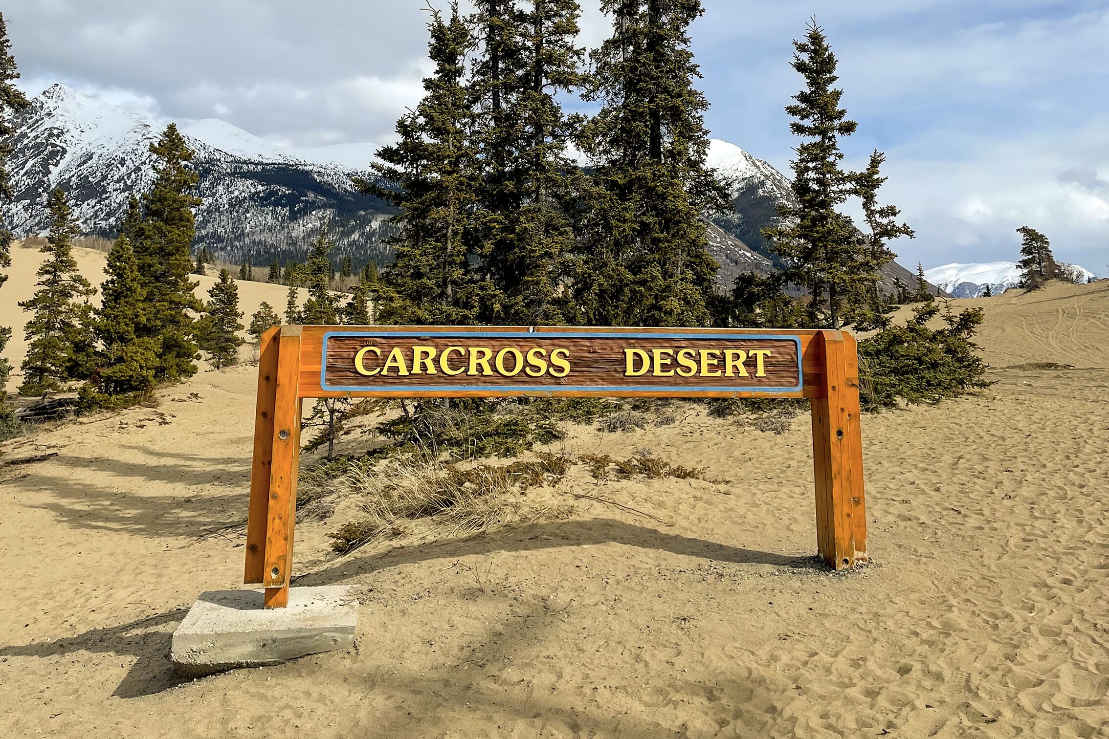 Carcross Desert in Kanada