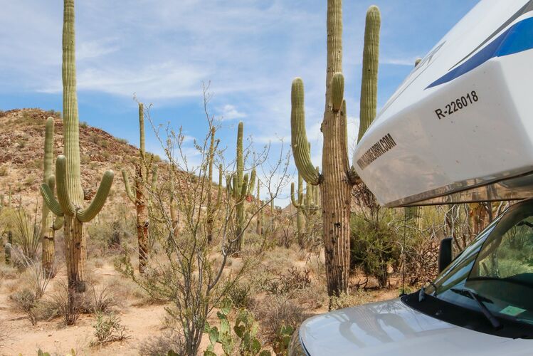 Wohnmobil von Roadbear RV im Saguaro National Park in Arizona