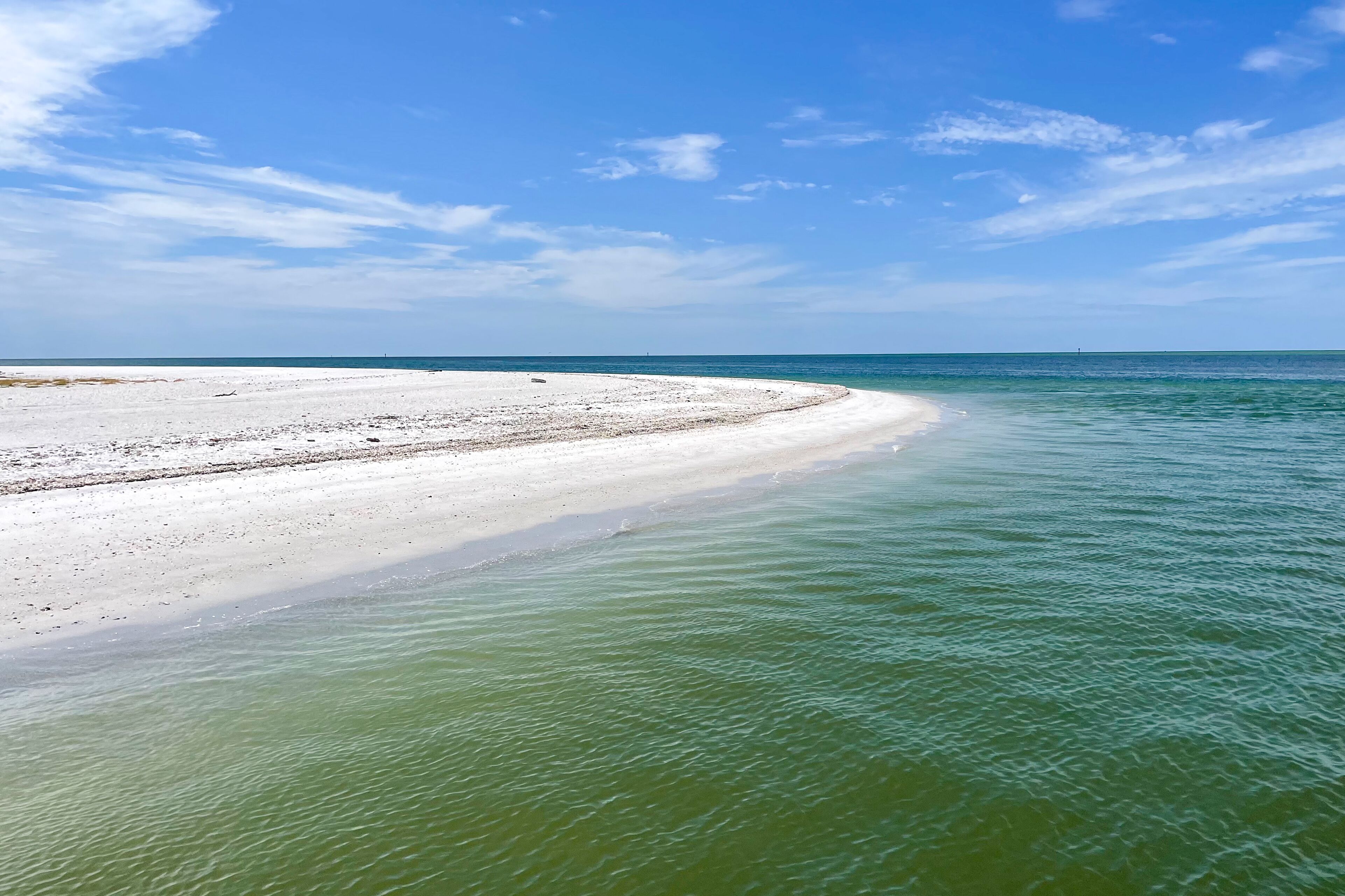 Türkisblaues Wasser, weißer Sand: Wunderschöne Aussicht während der Dolphin Explorer Tour