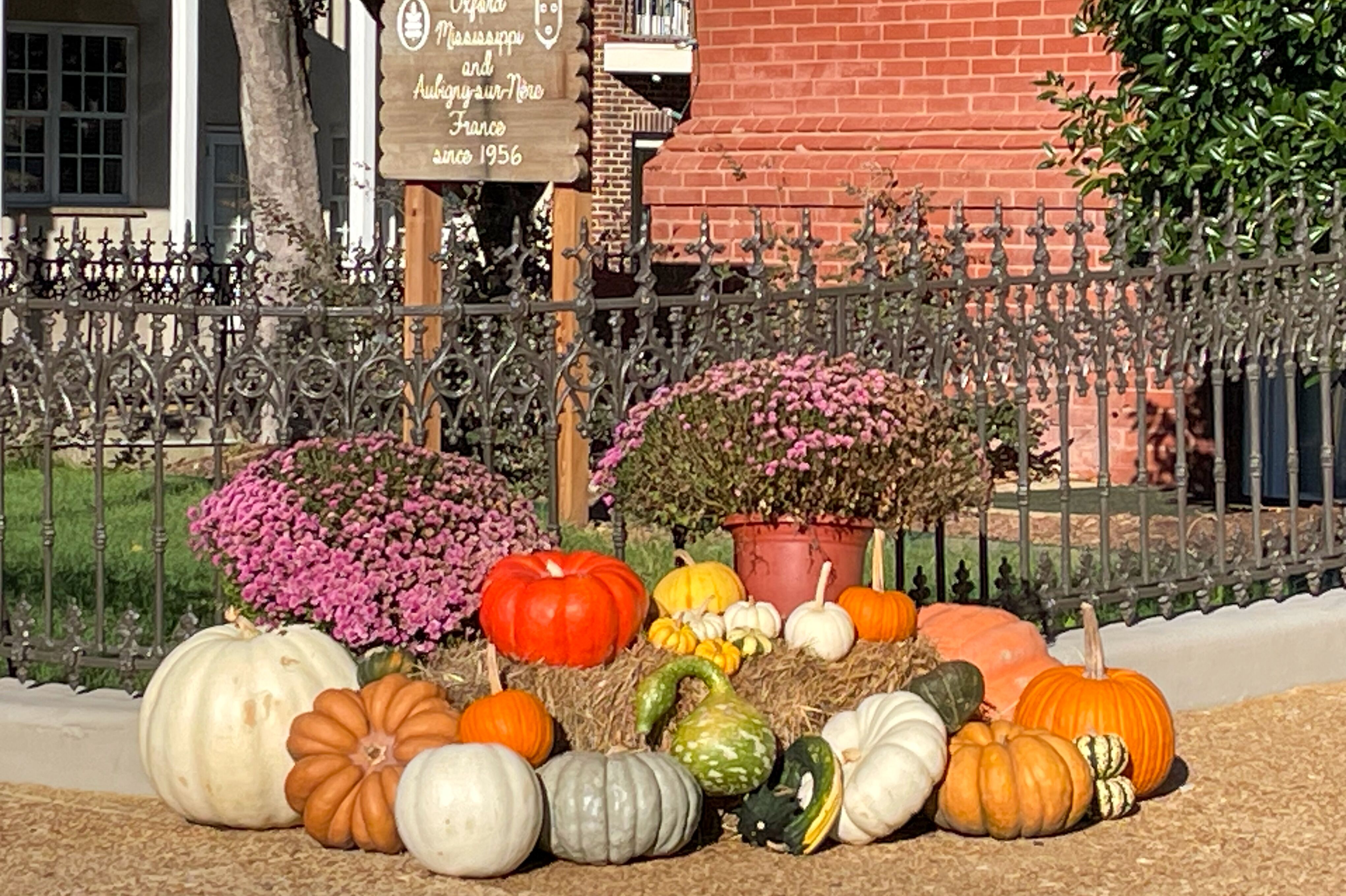 Herbstliche Kürbisse in der Innenstadt von Oxford