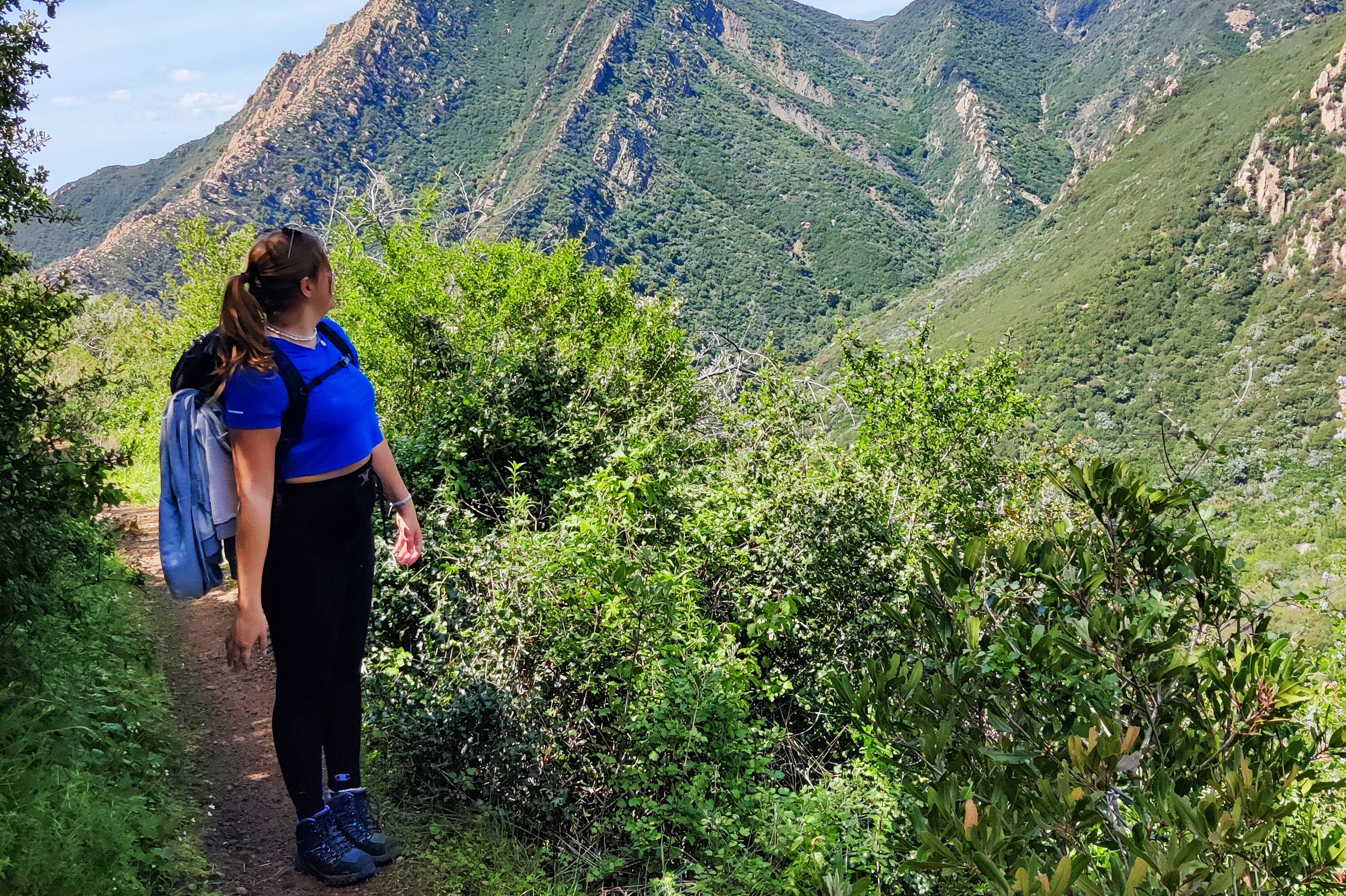 Wandern in den Santa Ynez Mountains