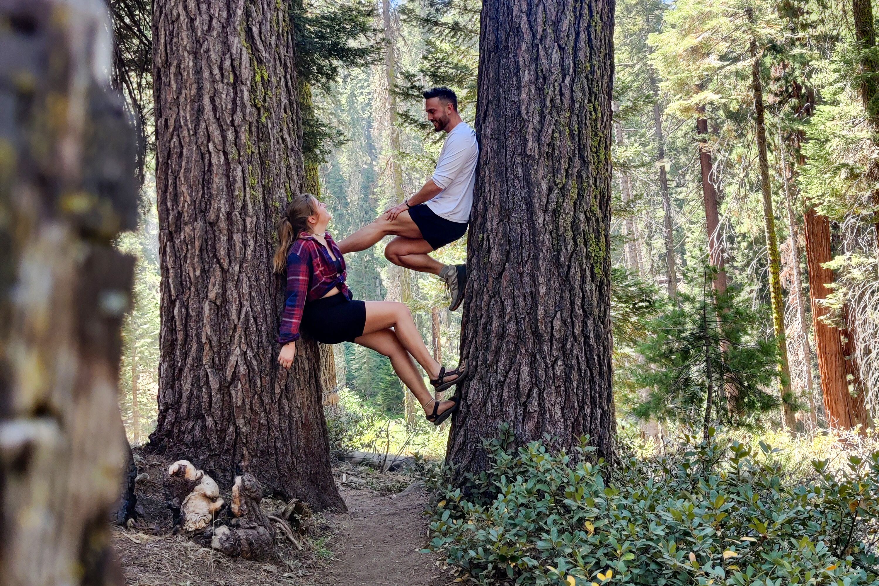 Pärchen im Sequoia-Nationalpark