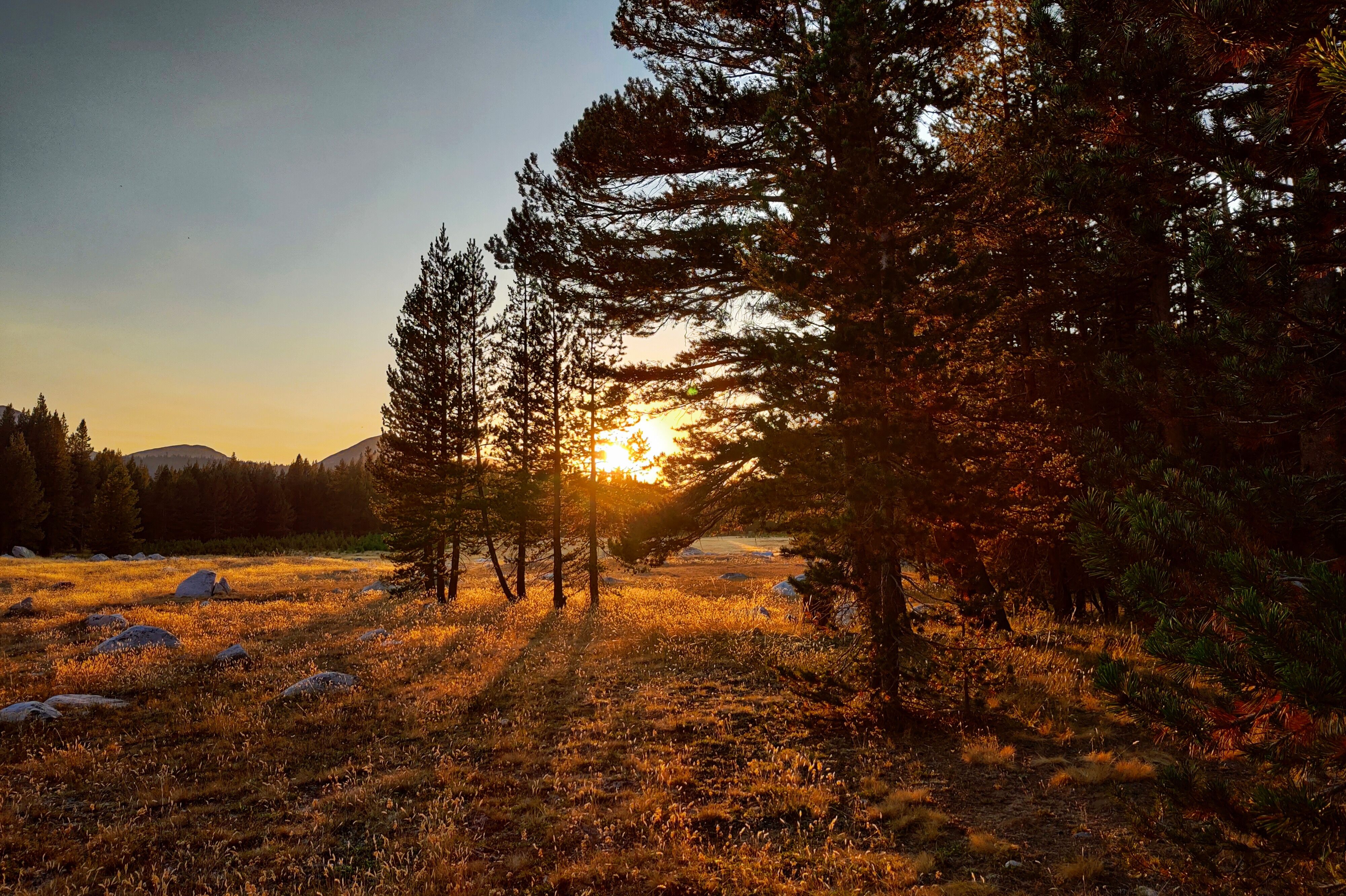 Sonnenuntergang am Tioga Pass