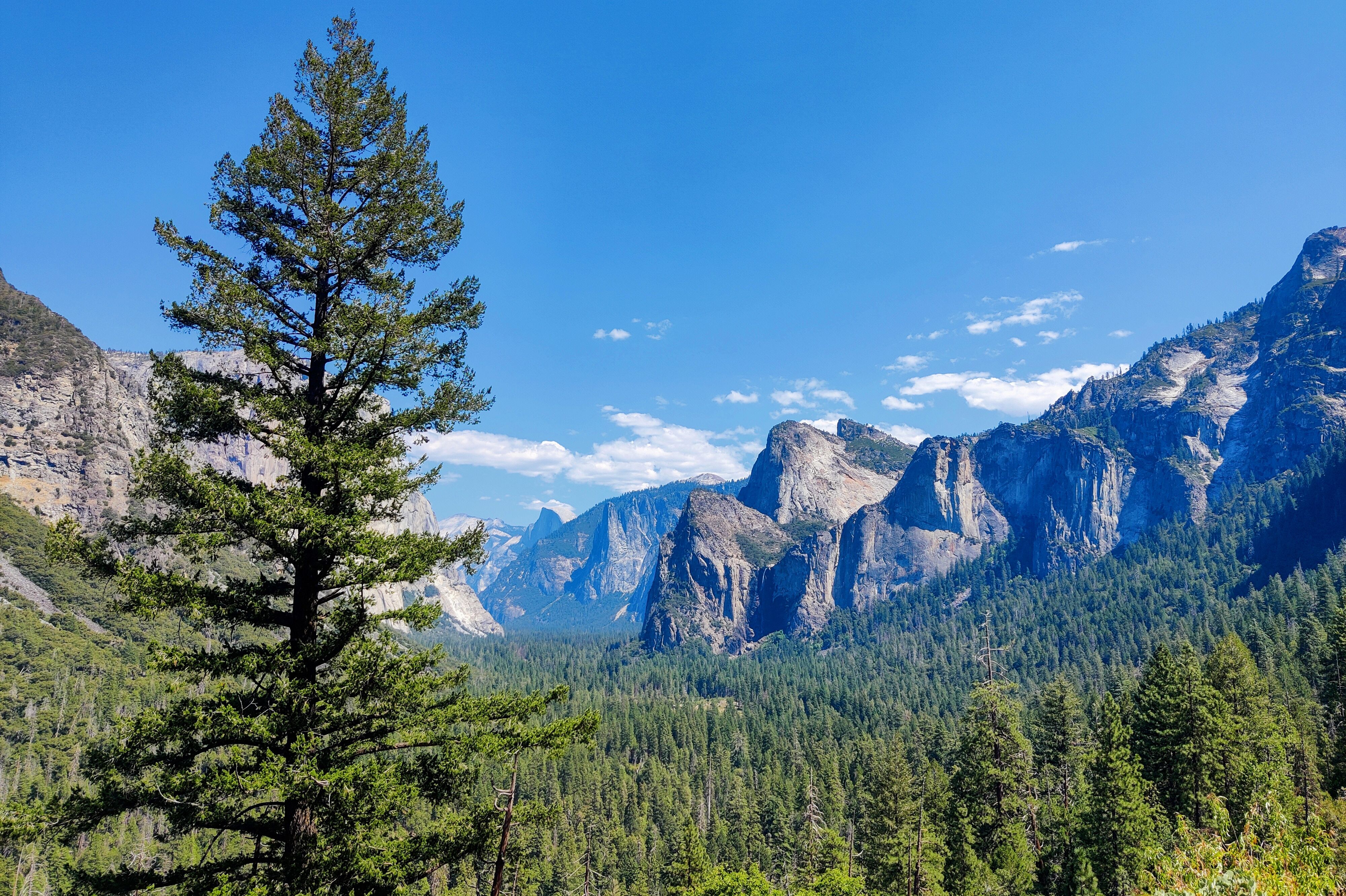 Blick vom Tunnel View auf den Yosemite-Nationalpark