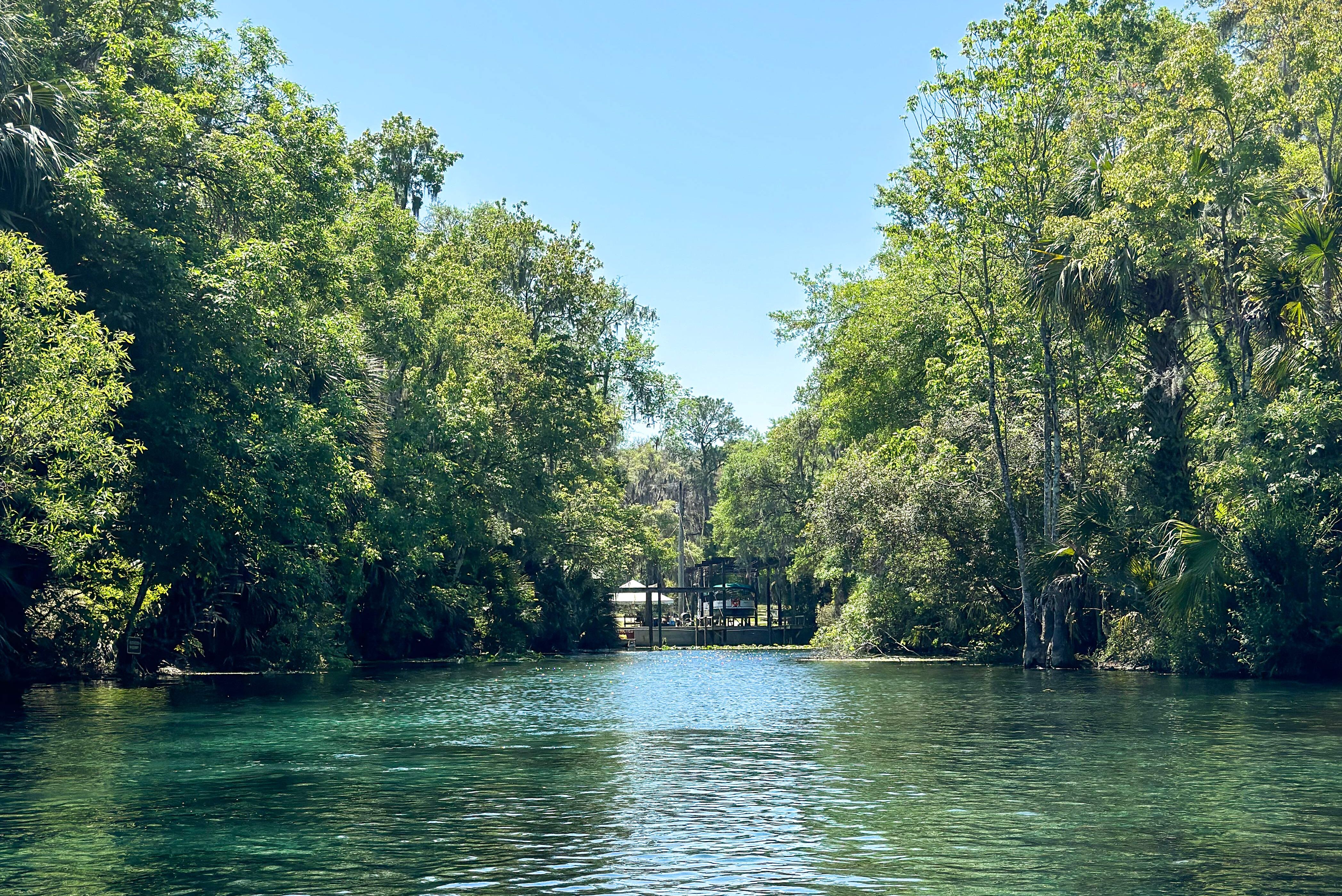 Schöne Natur im Silver Springs State Park