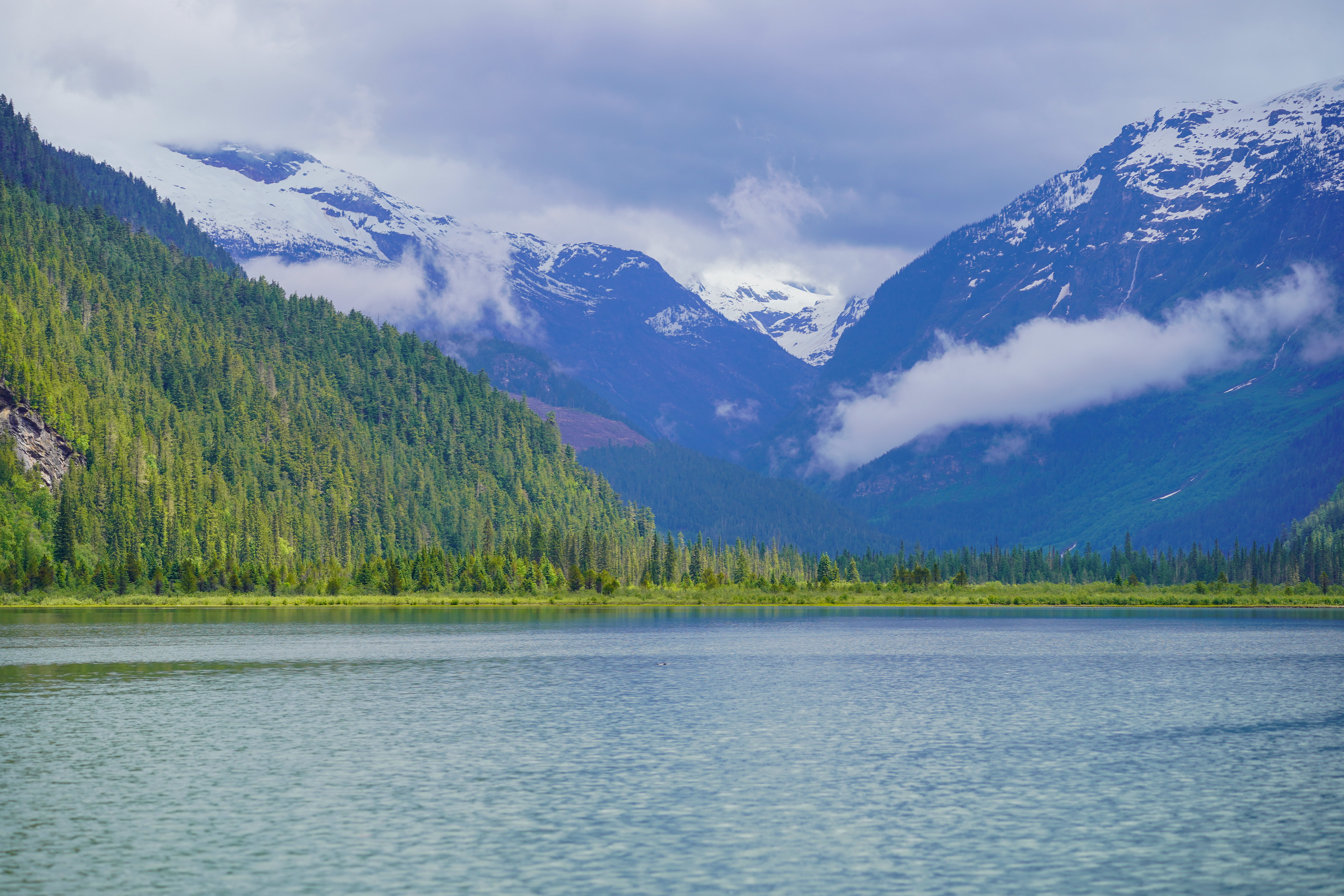 Die Landschaft genießen mit der Blue River Safari Bootstour