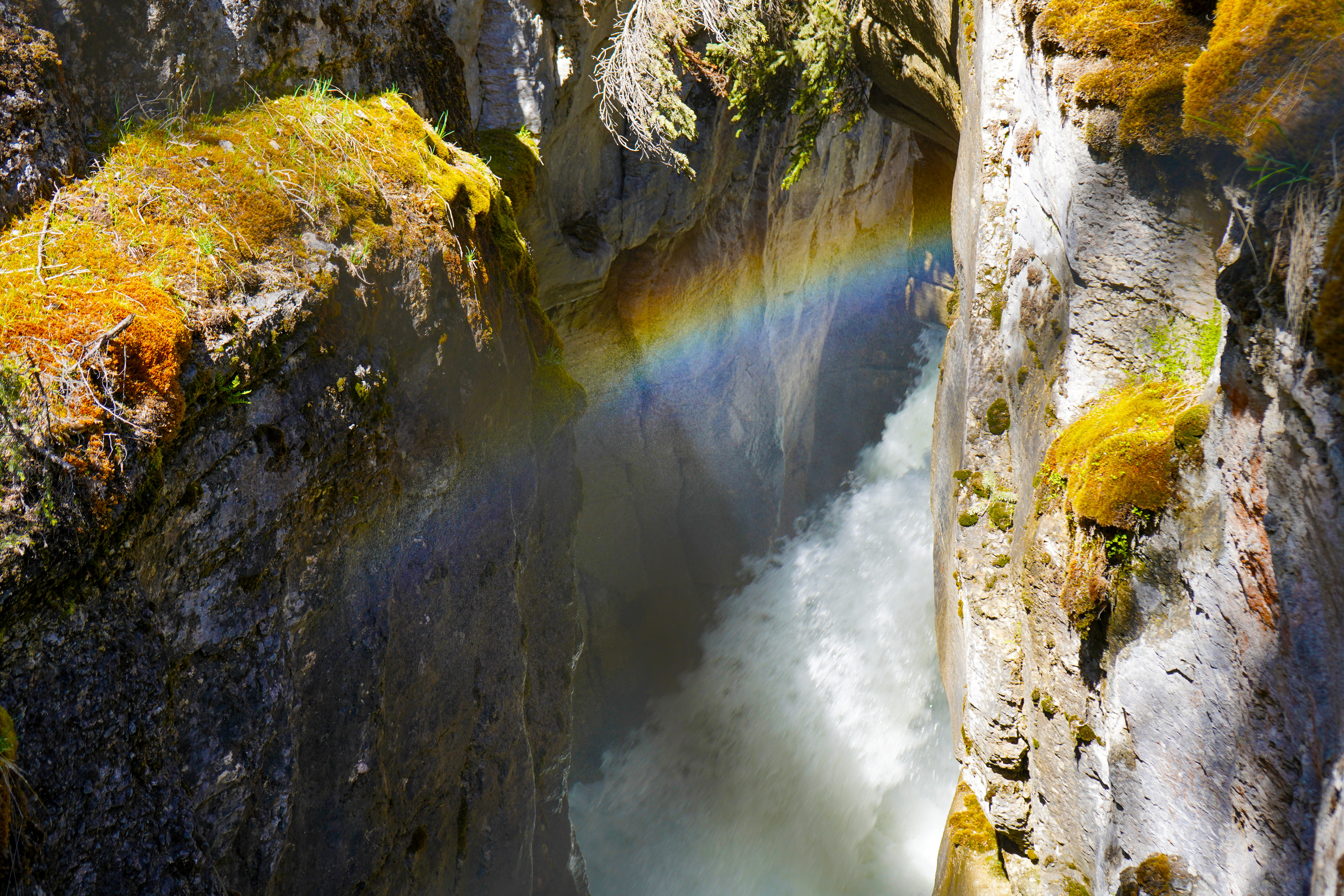 Regenbogen im Maligne Canyon