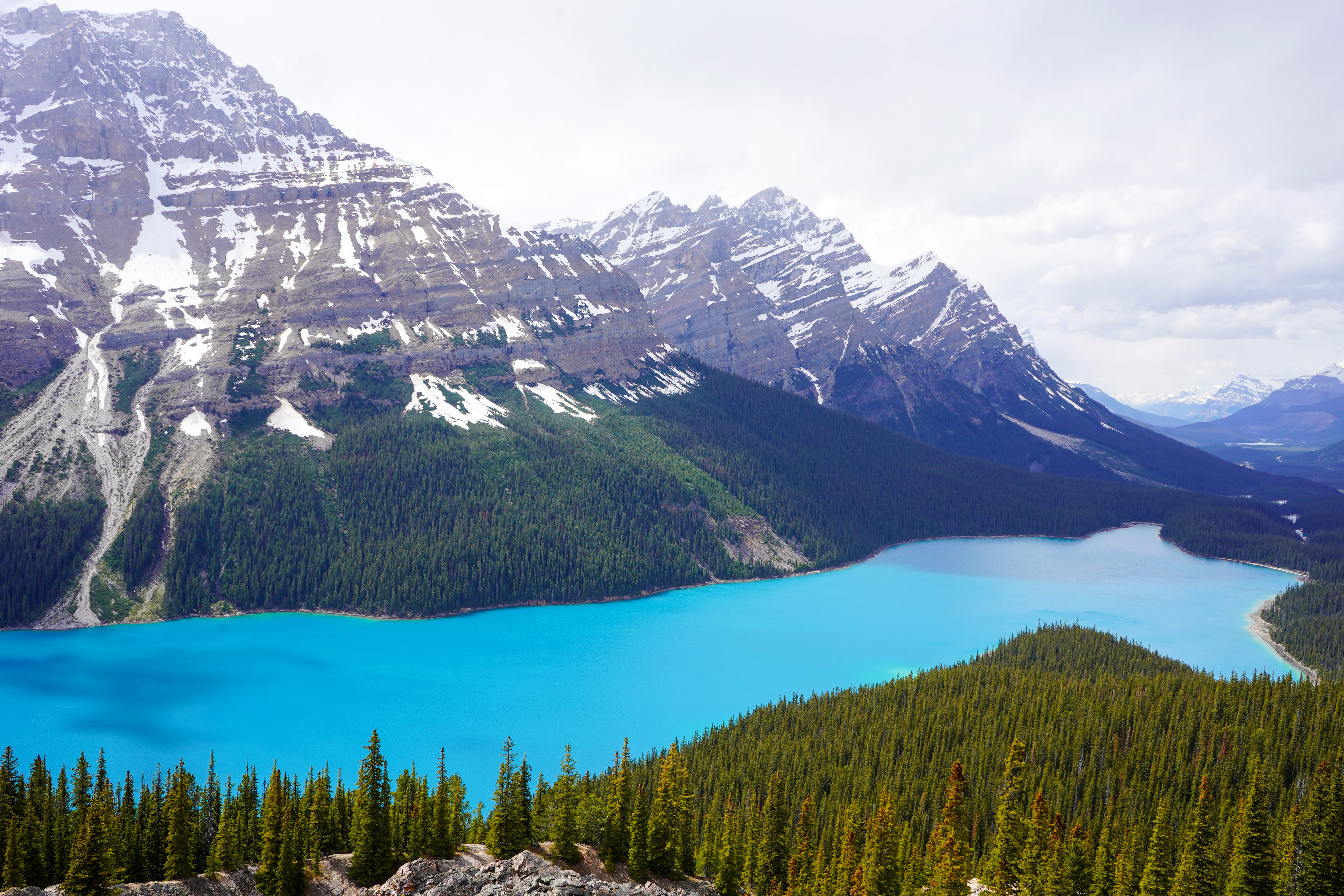 Das strahlende Blau des Peyto Lake