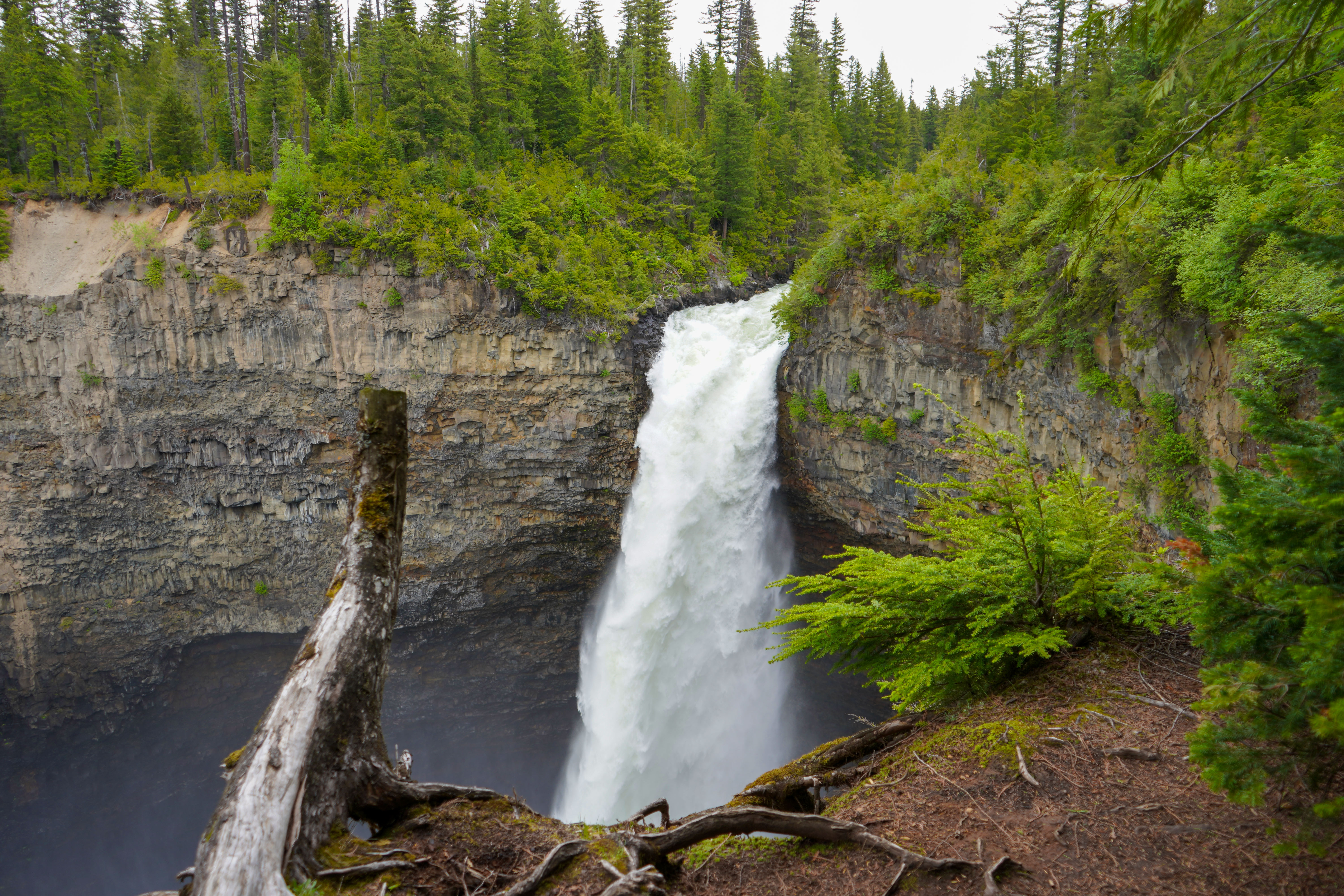 Blick auf die Helmcken Falls