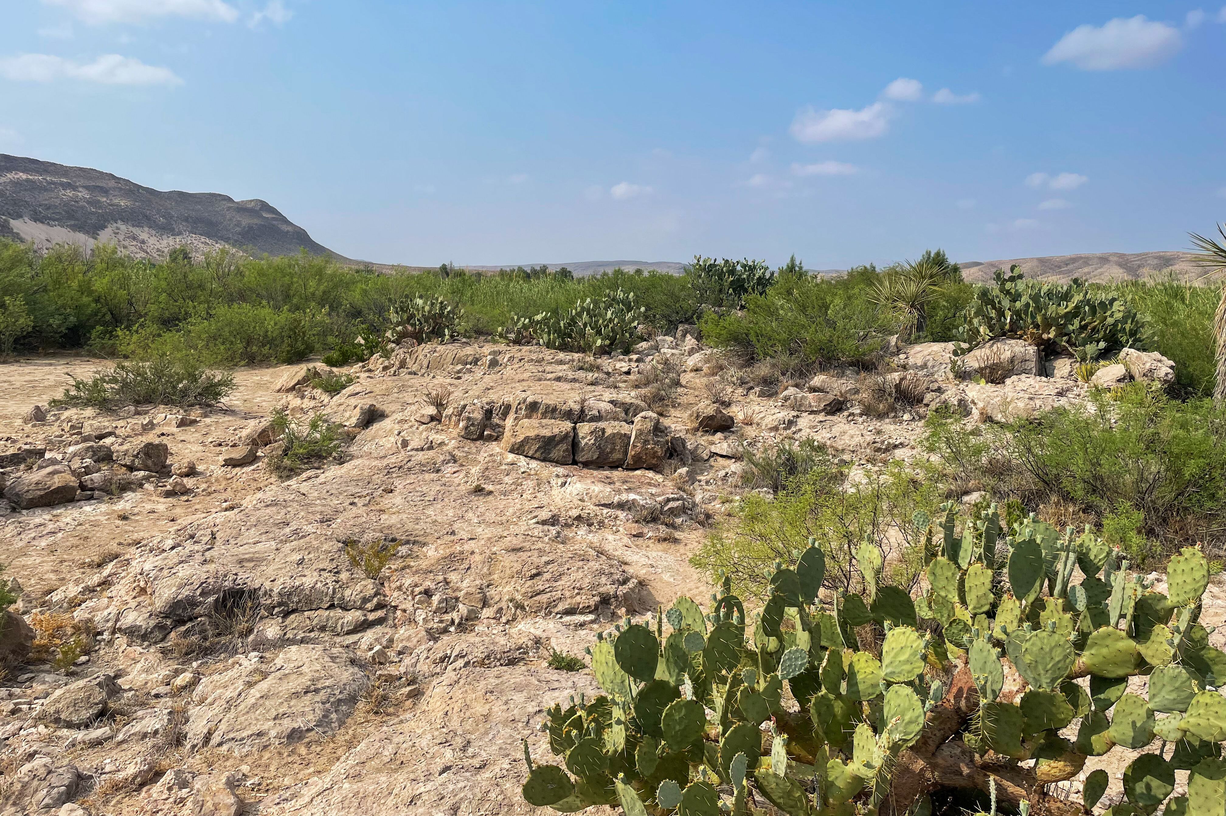 Landschaft entlang des Nature Trails im Big-Bend-Nationalpark