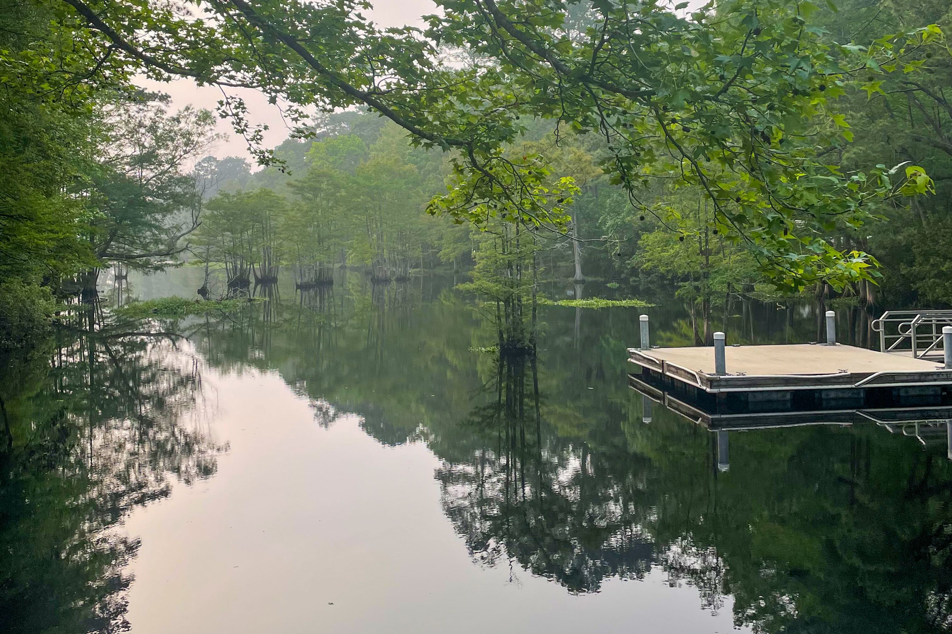 Blick auf den See beim Martin Dies Jr. State Park