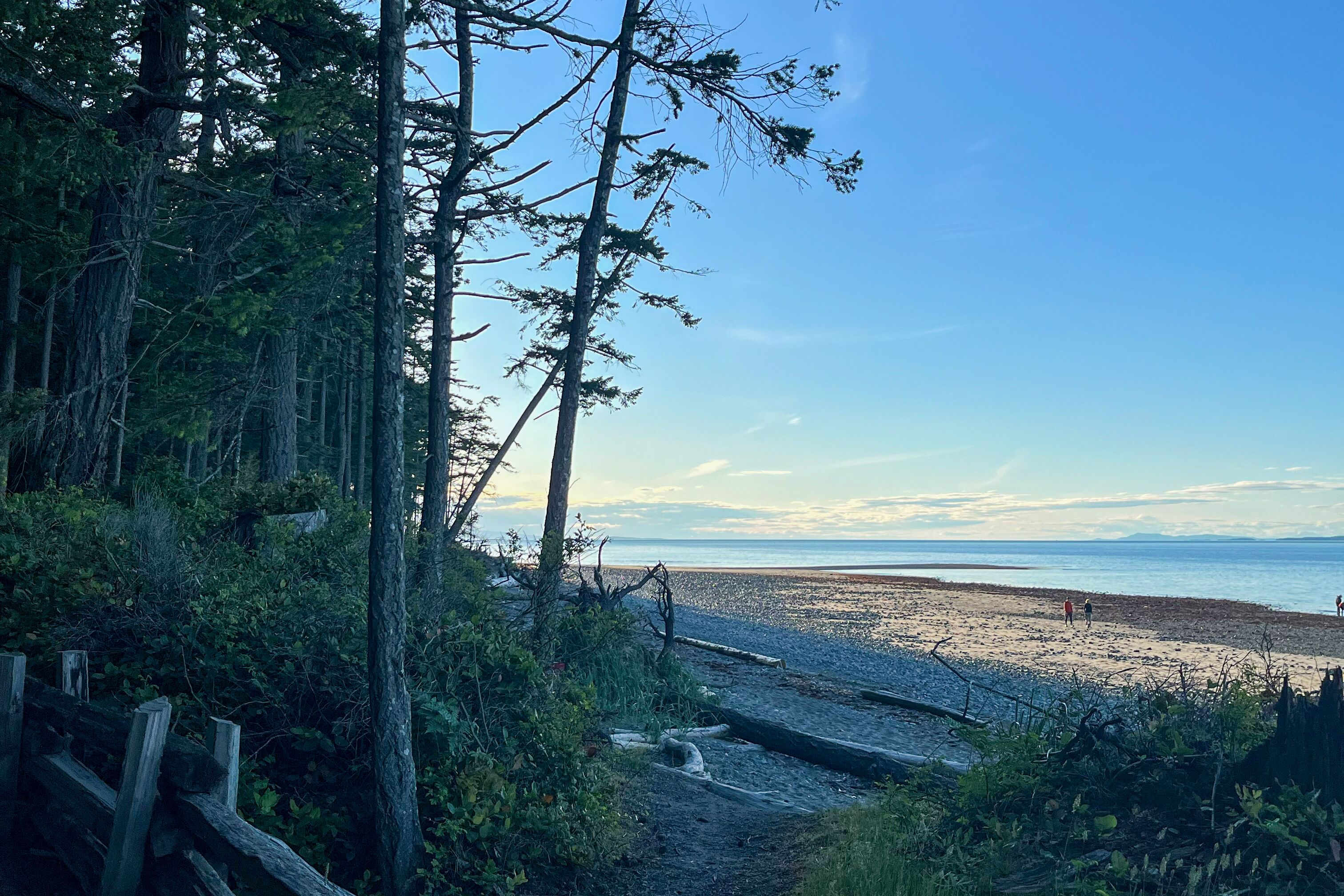 Strand im Rathtrevor Beach Provincial Park