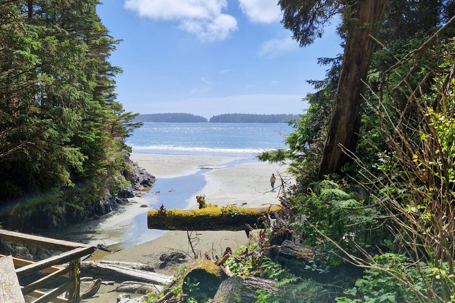 Blick auf den Middle Beach in Tofino