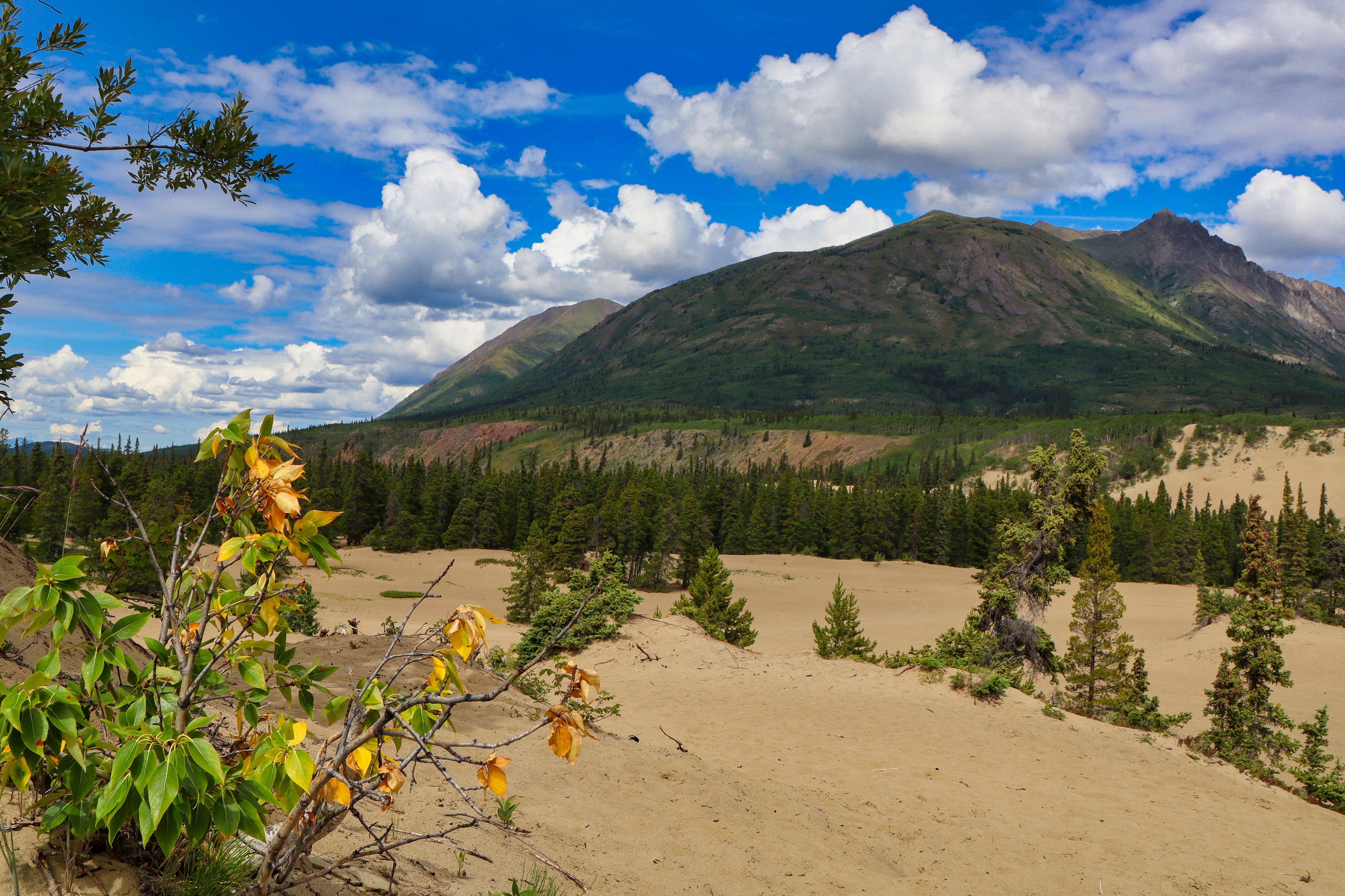 Faszinierende Wüstenlandschaft in Yukon