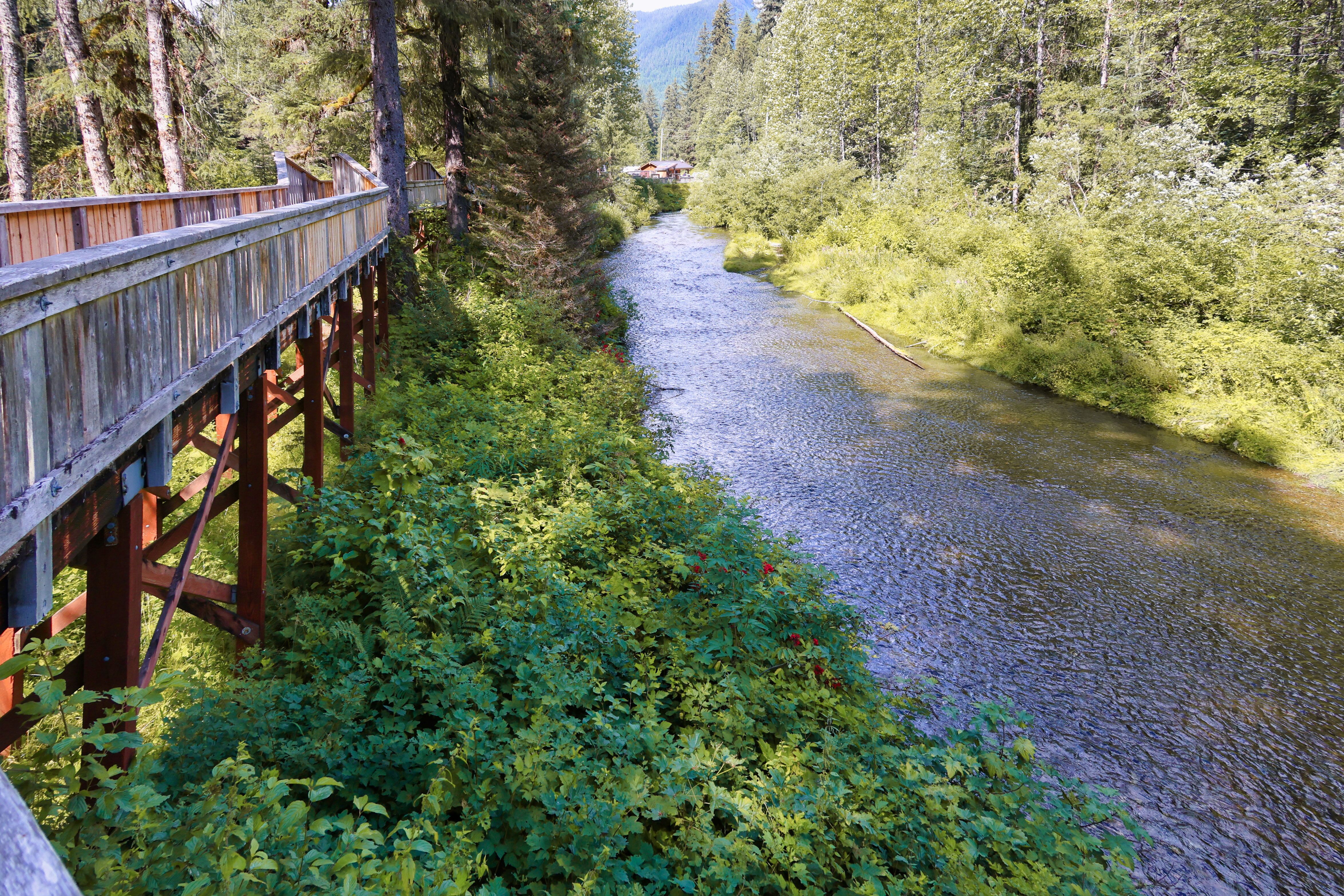 Brücken im Fish Creek Wildlife Observation Site in Hyder in Alaska