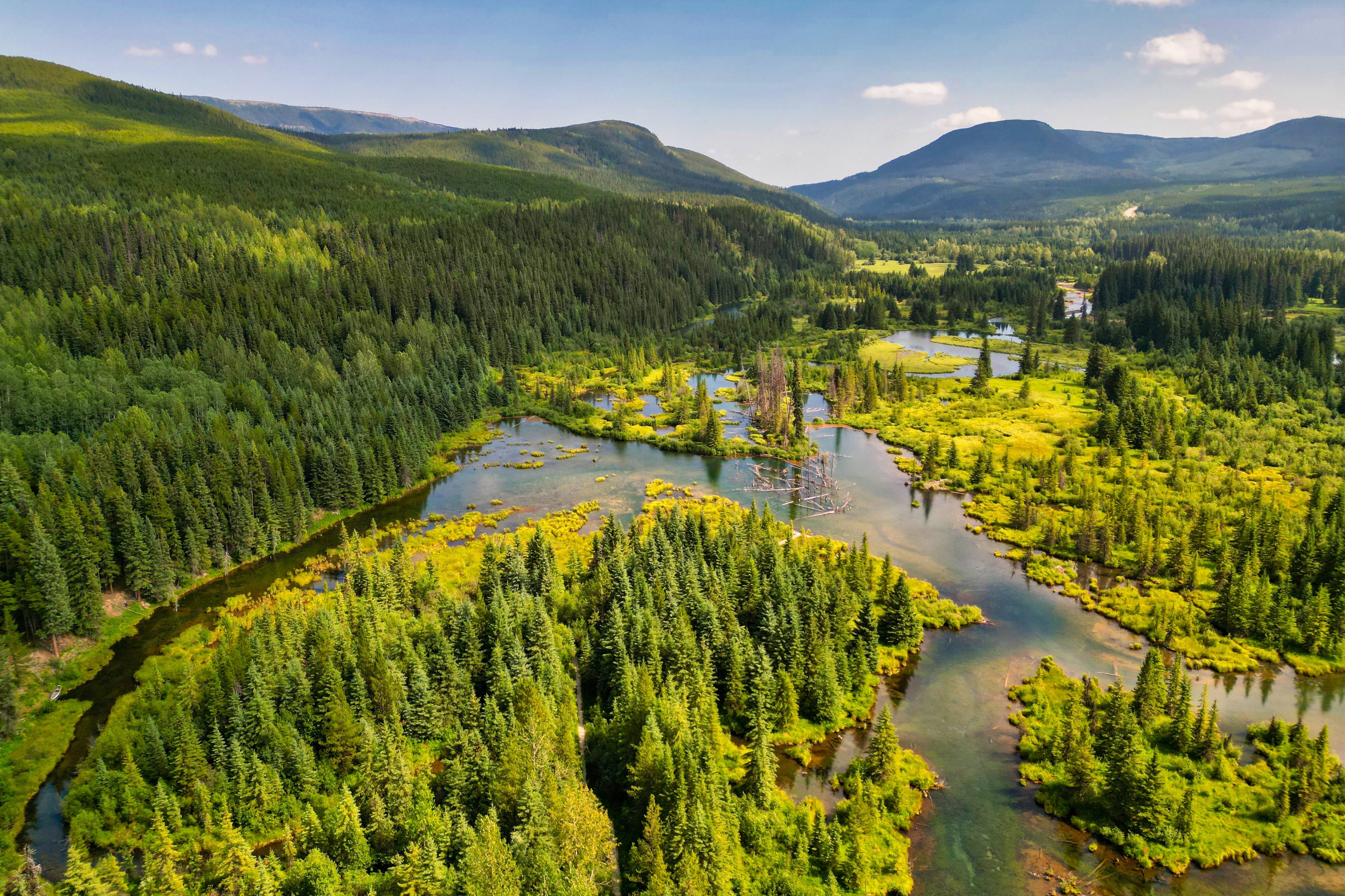 Blick auf die Bull moose Flats