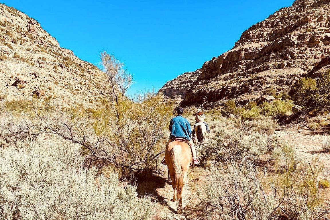 Reiten in den Book Cliffs