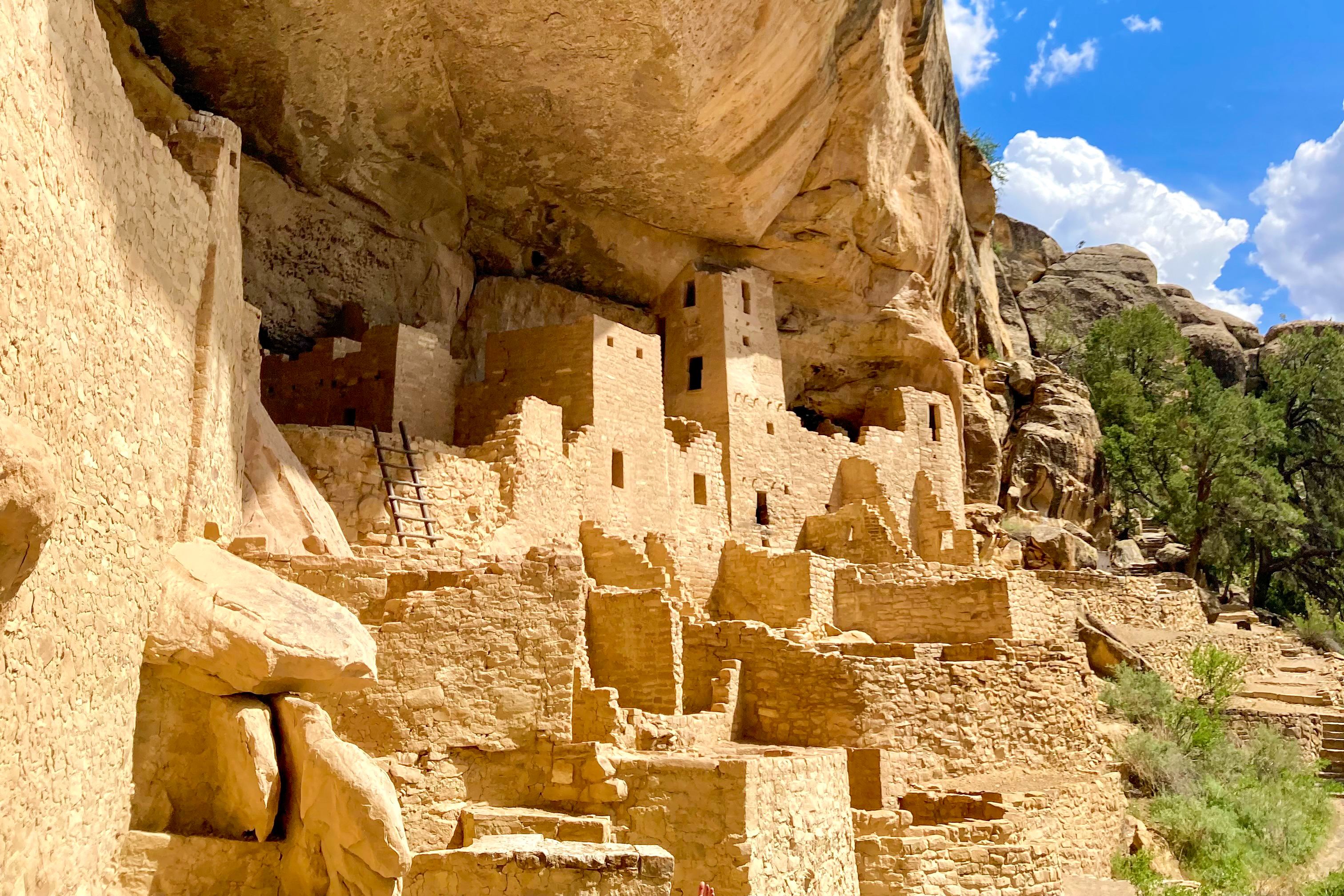 Blick auf die Klippenwohnungen von Cliff Palace