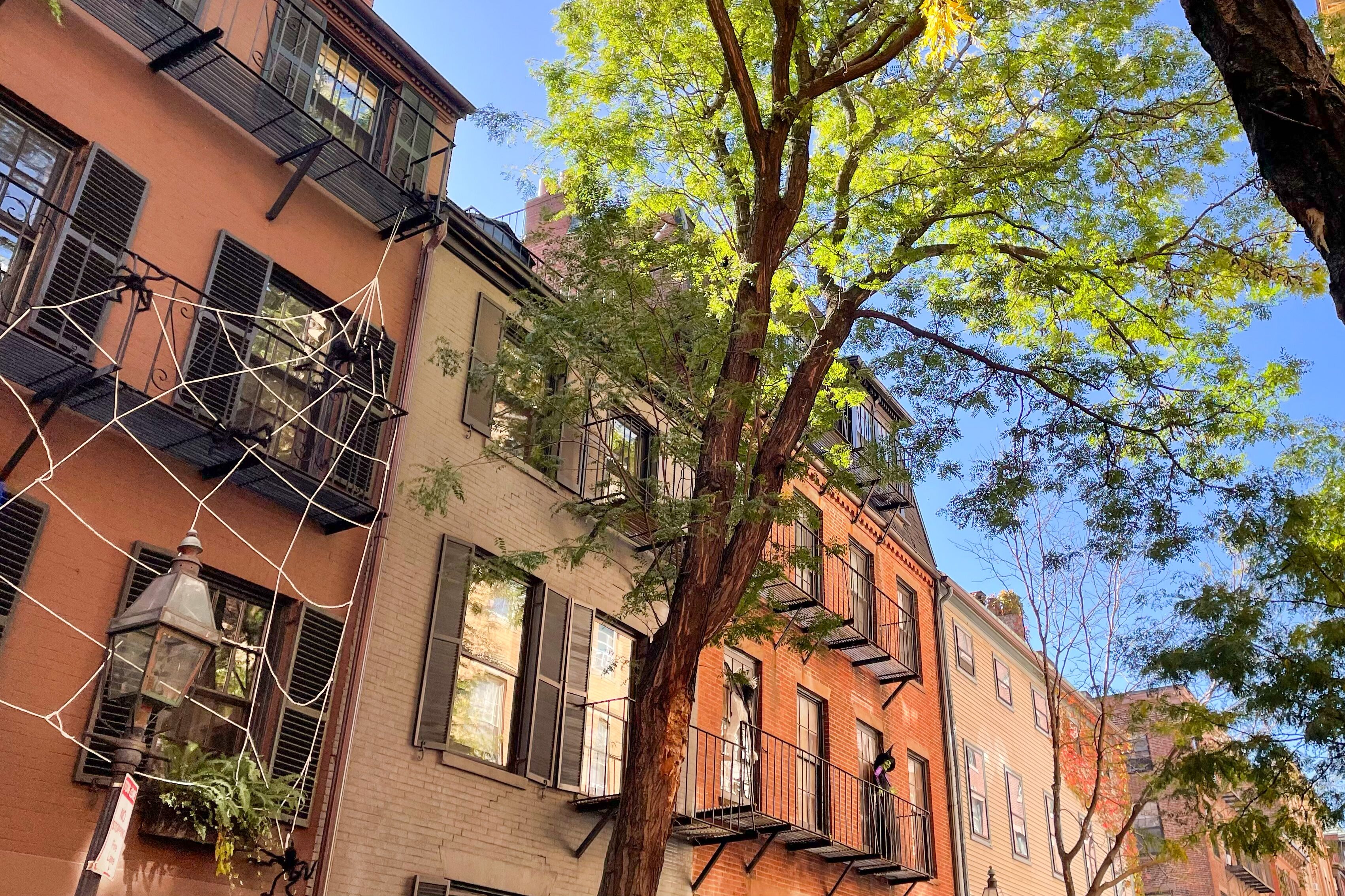 Der malerische Stadtteil Beacon Hill geschmückt für Halloween