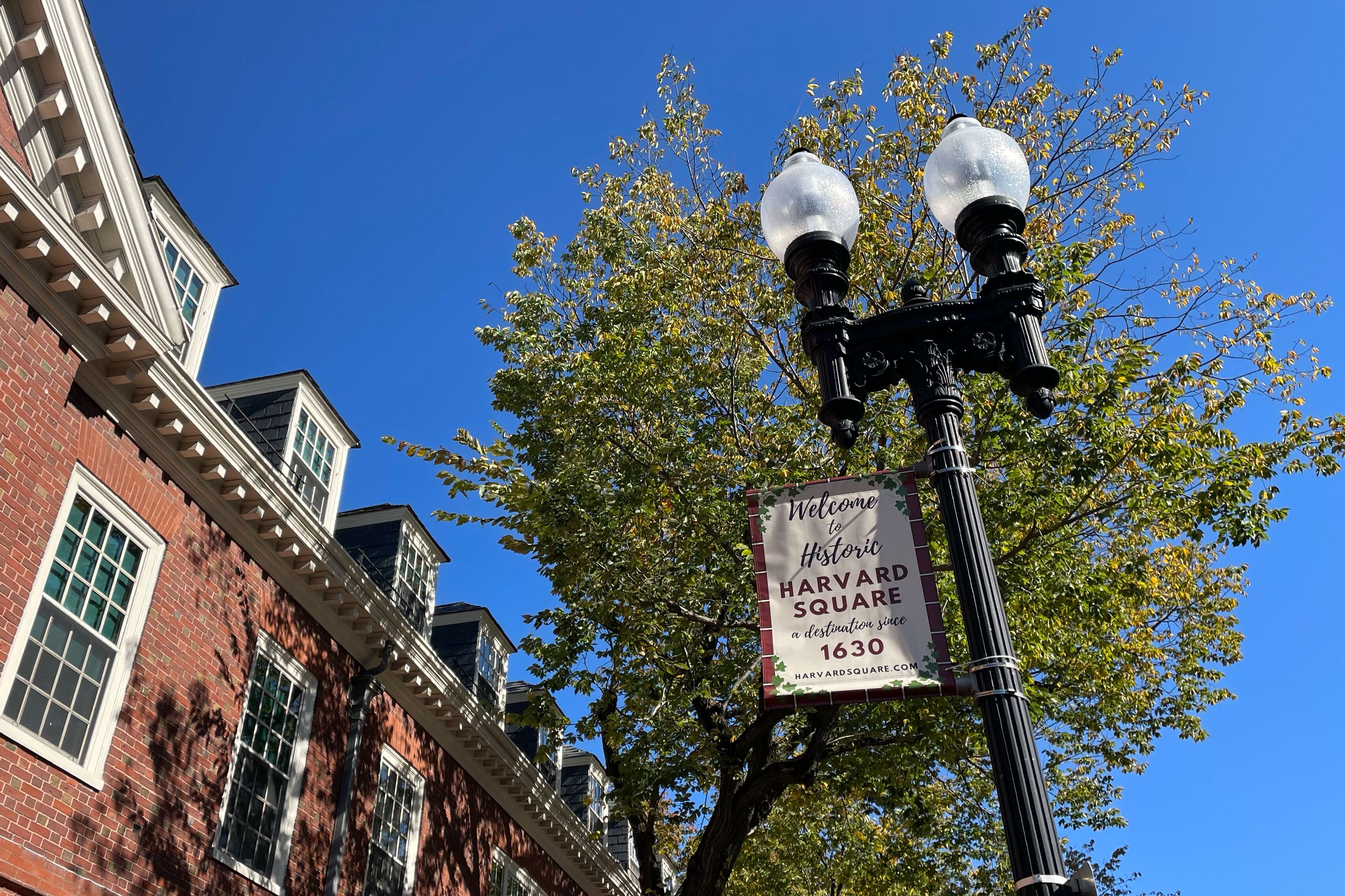 Laterne vor der Harvard University