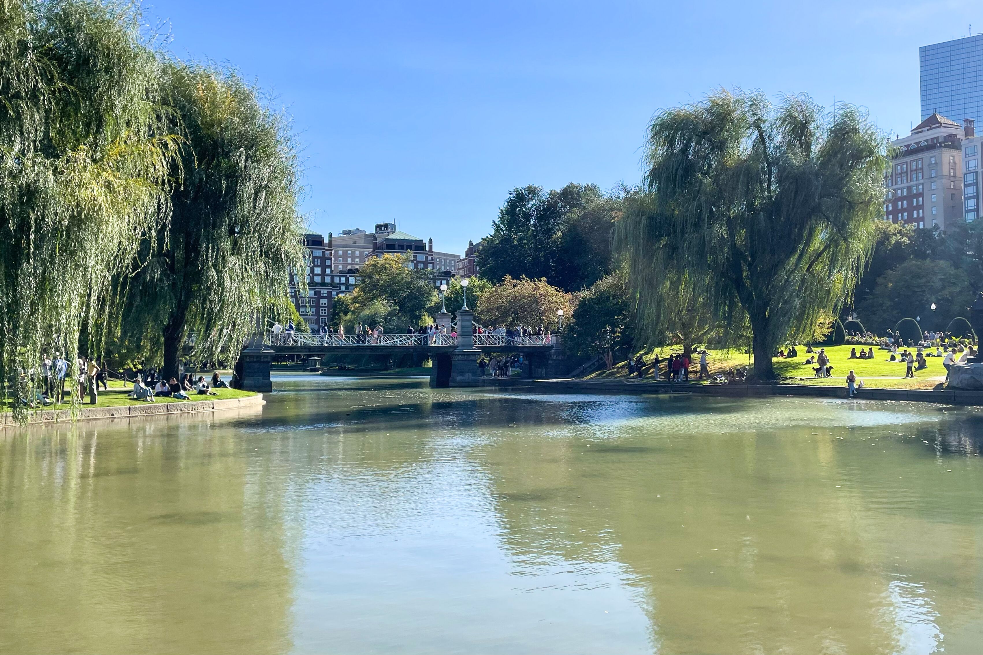 Kleiner Teich im Boston Common
