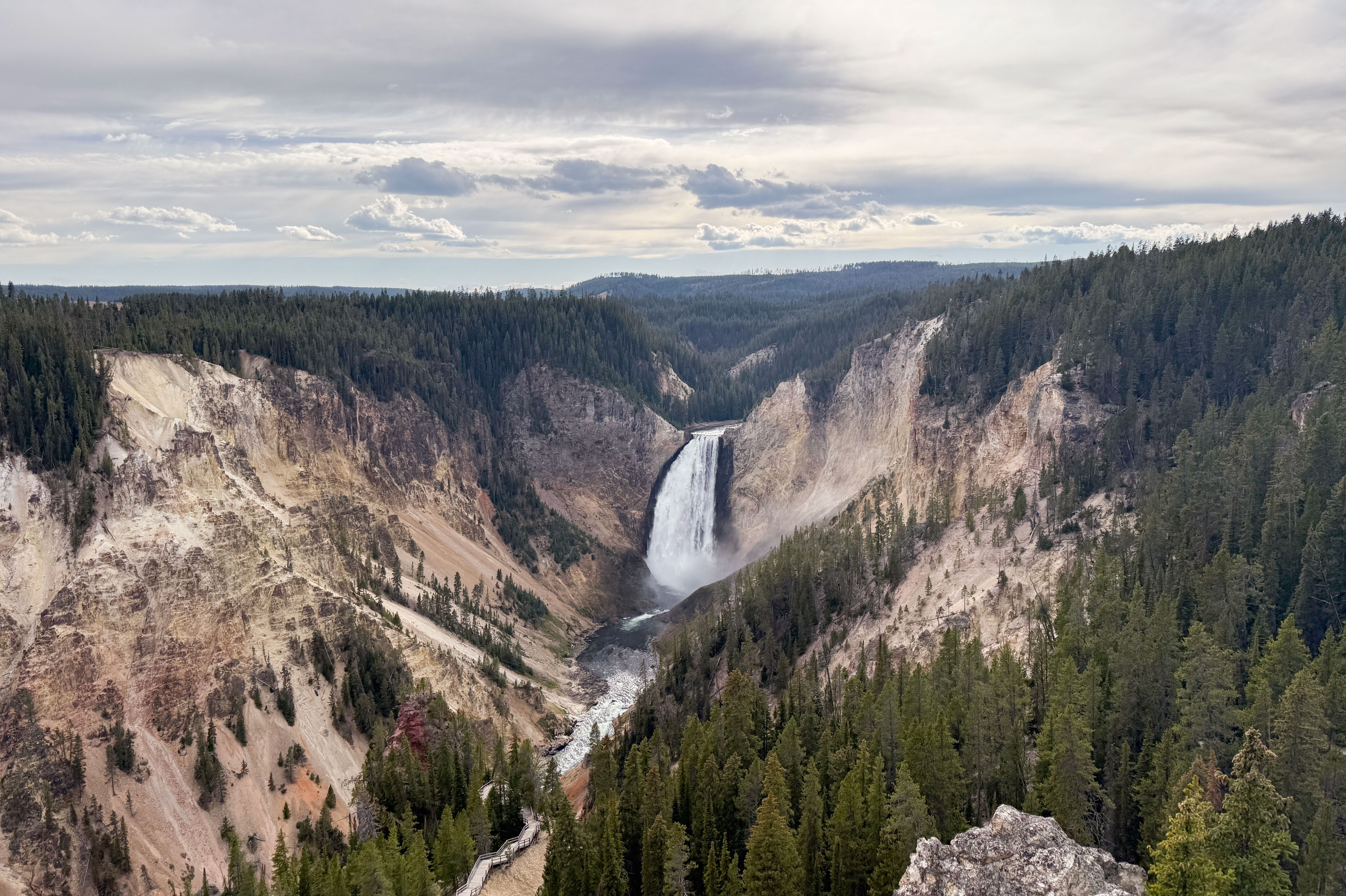 Grand Canyon Schlucht im Yellowstone National Park