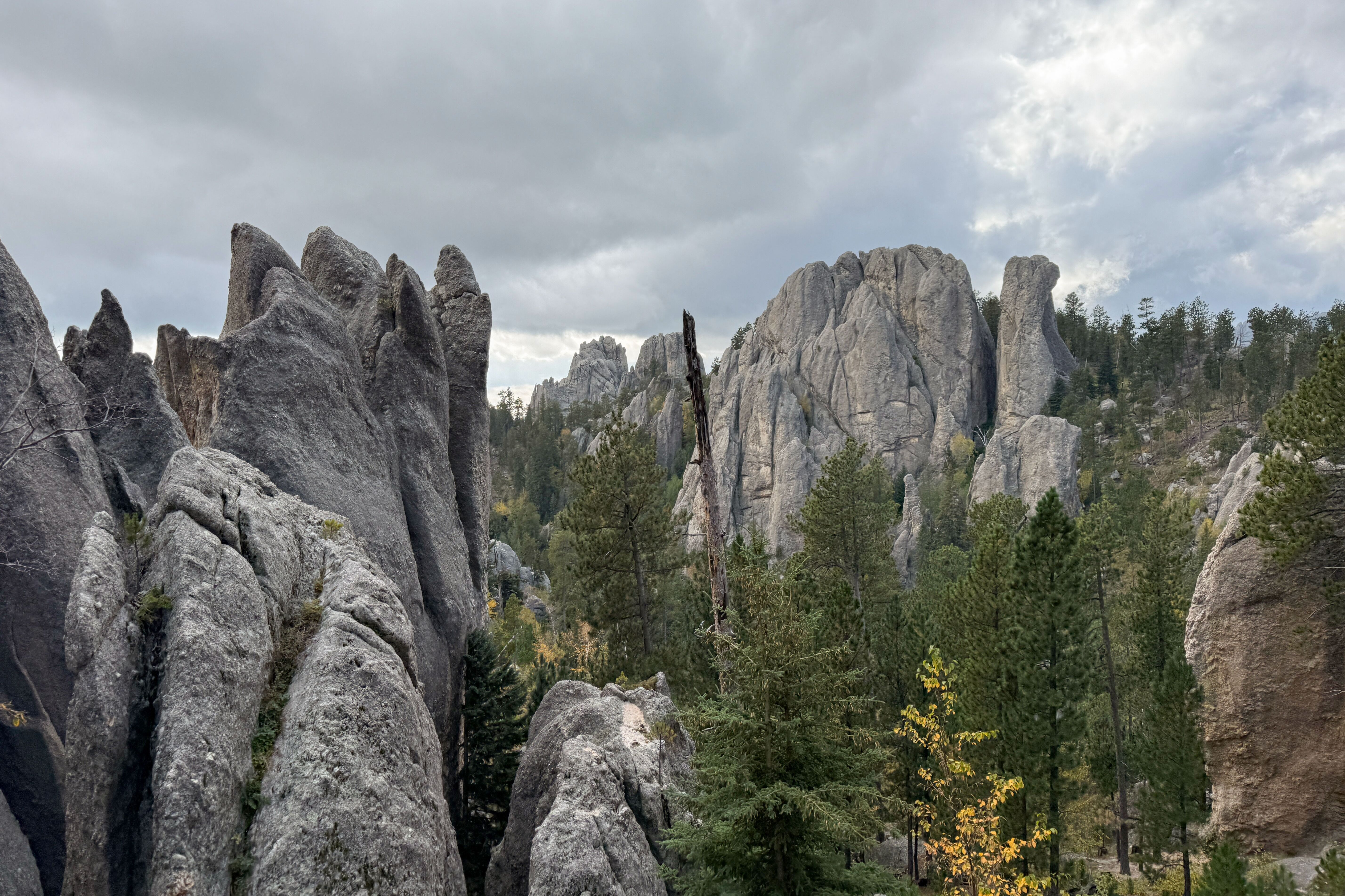 Needles im Black Hills National Forest in Süddakota
