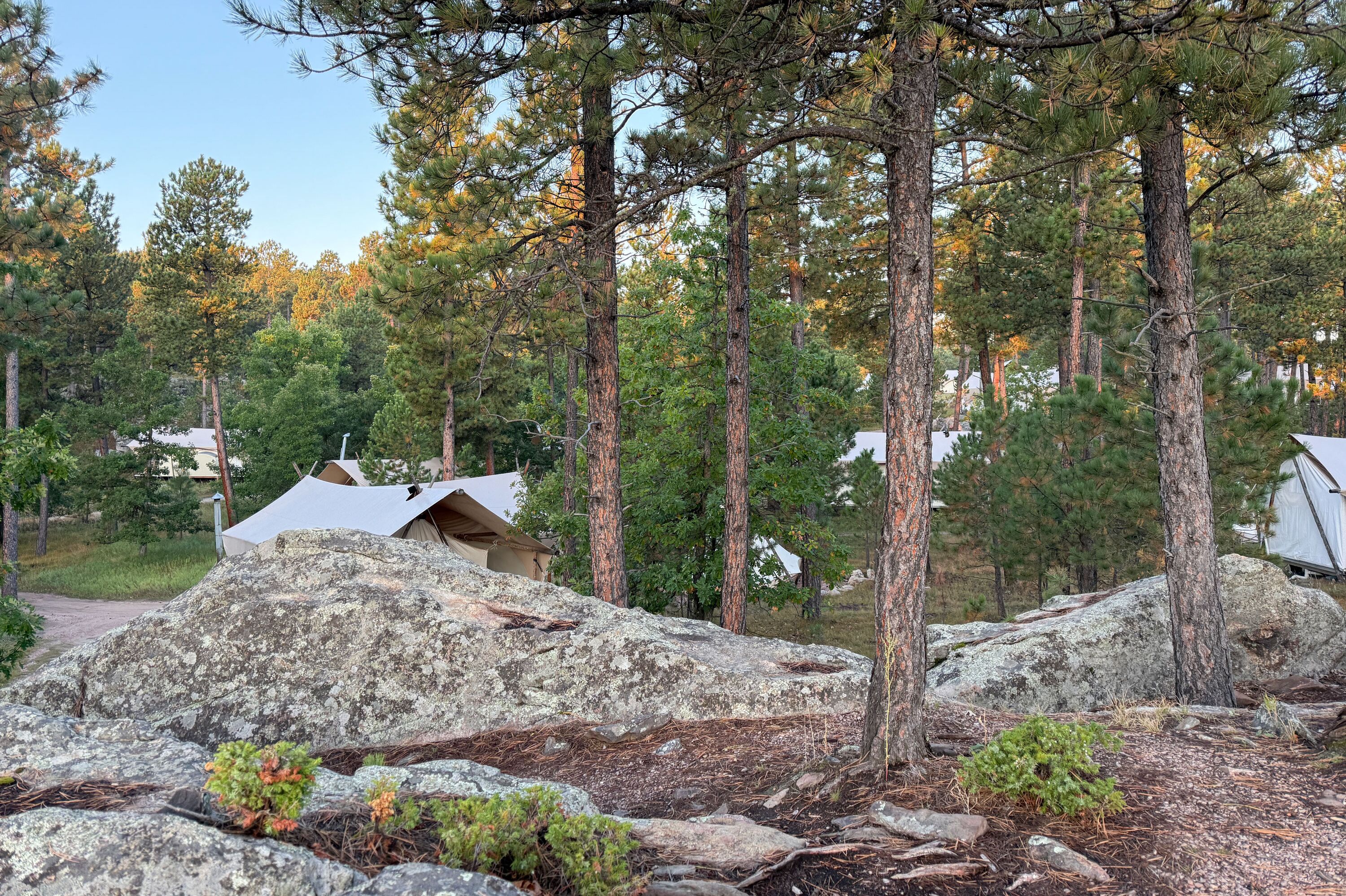 Under Canvas Mount Rushmore Camp inmitten der Natur von Keystone