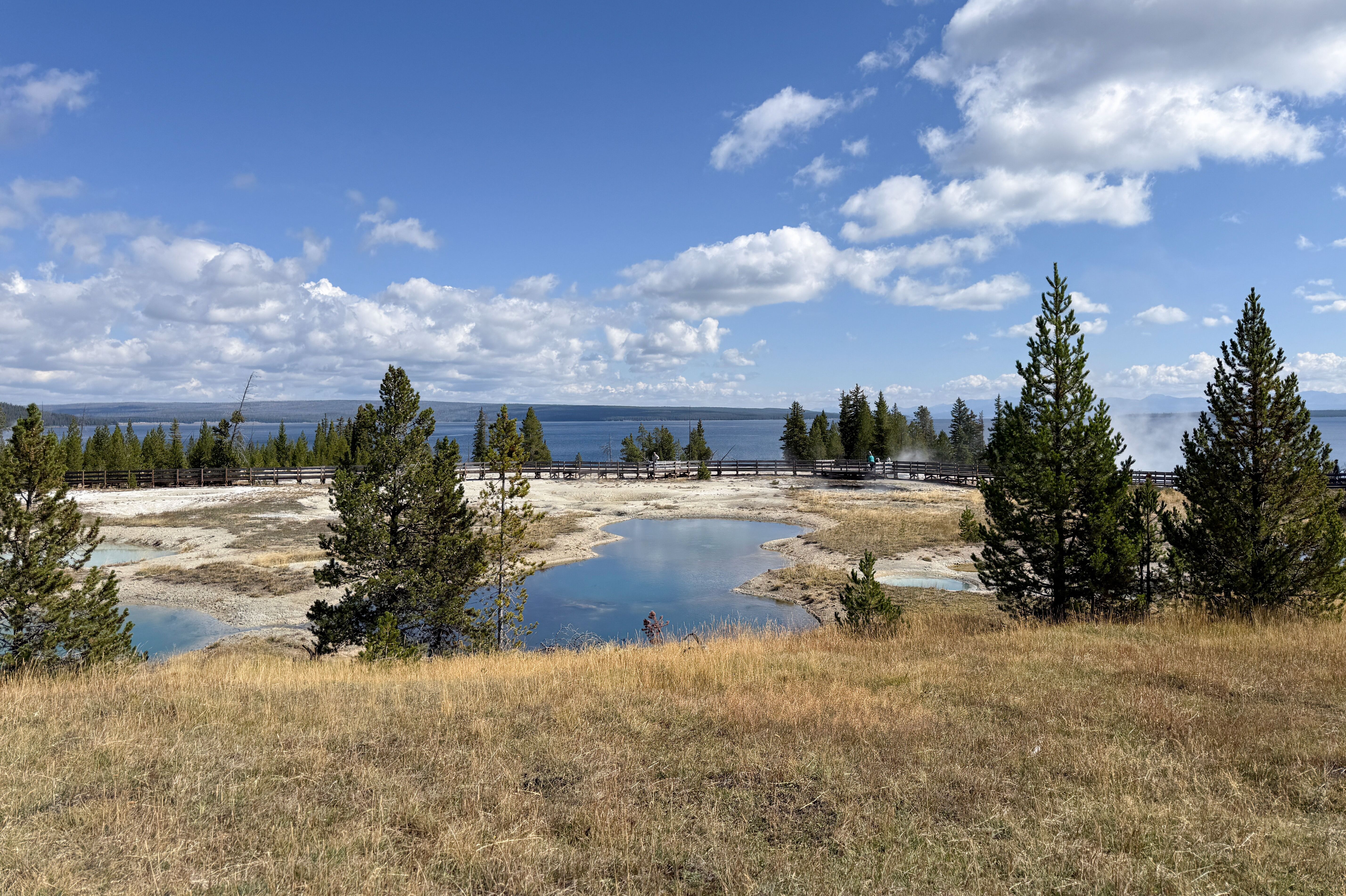 Natur im Yellowstone Nationalpark am West Thumb Geyser Basin