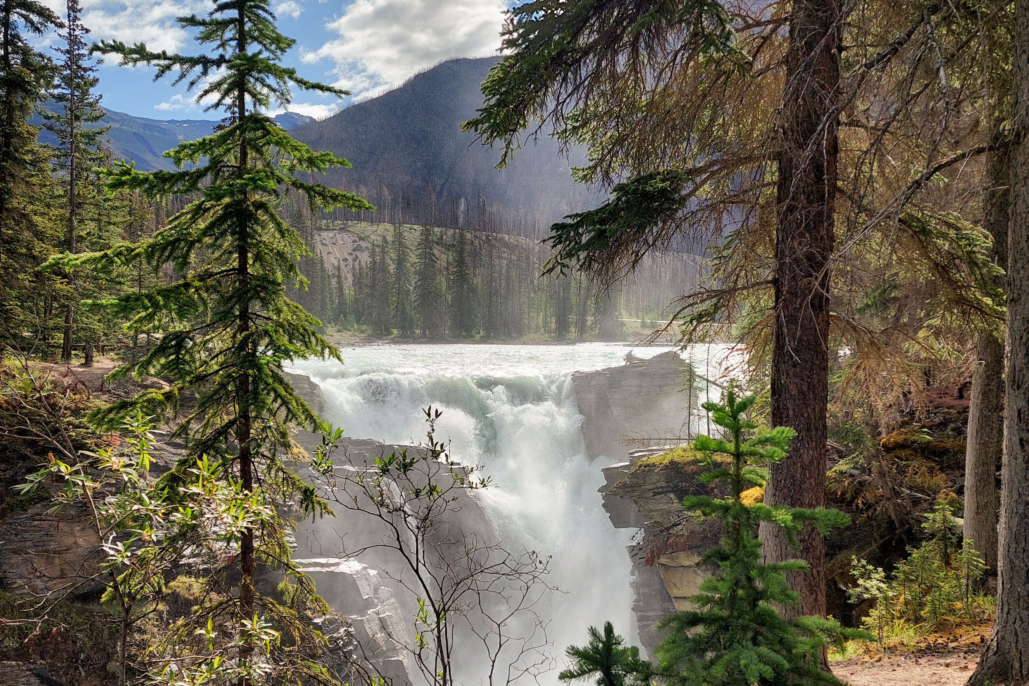Blick auf die Athabasca Falls im Jasper Nationalpark
