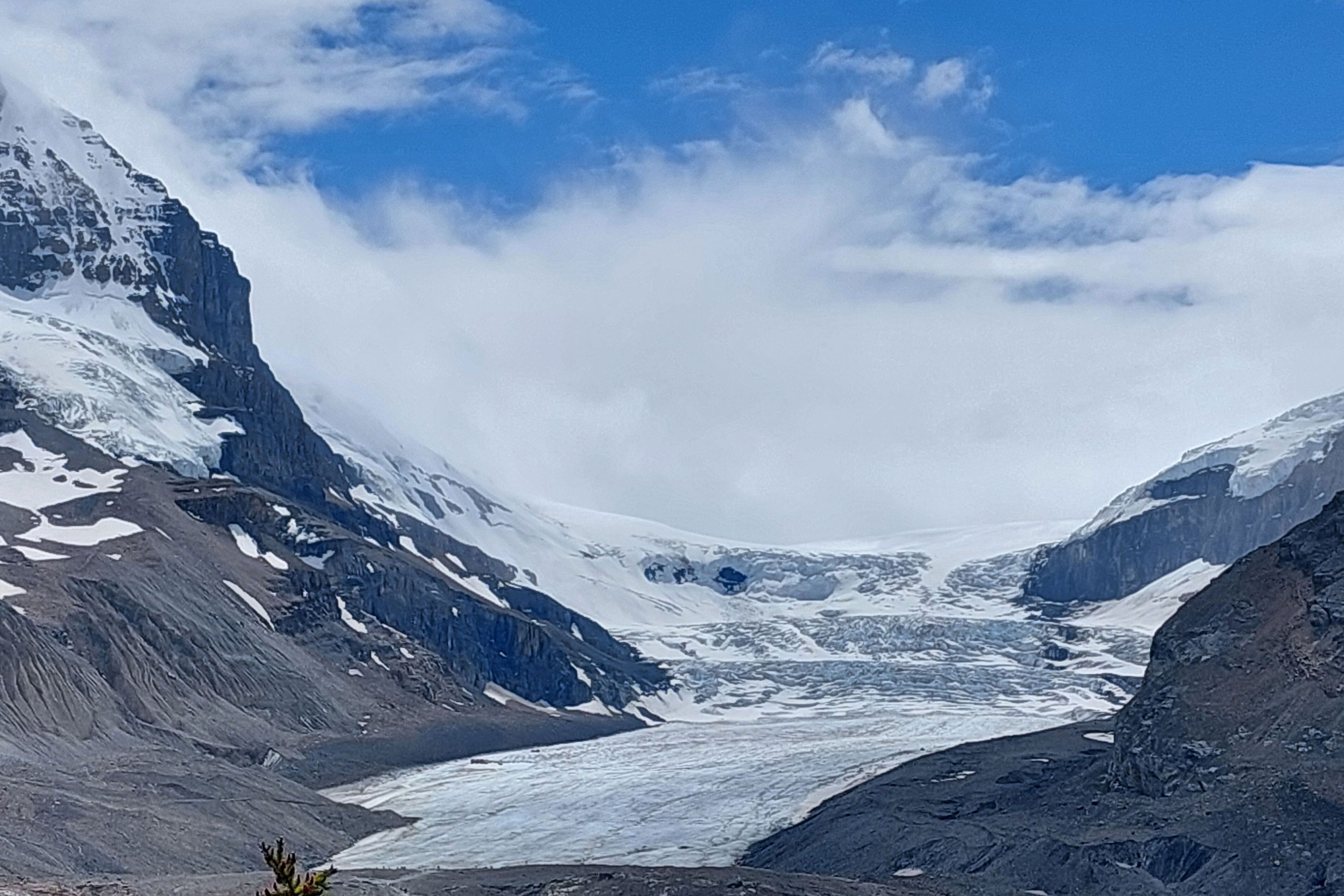 Schneebedeckter Athabasca Gletscher in den Rocky Mountains