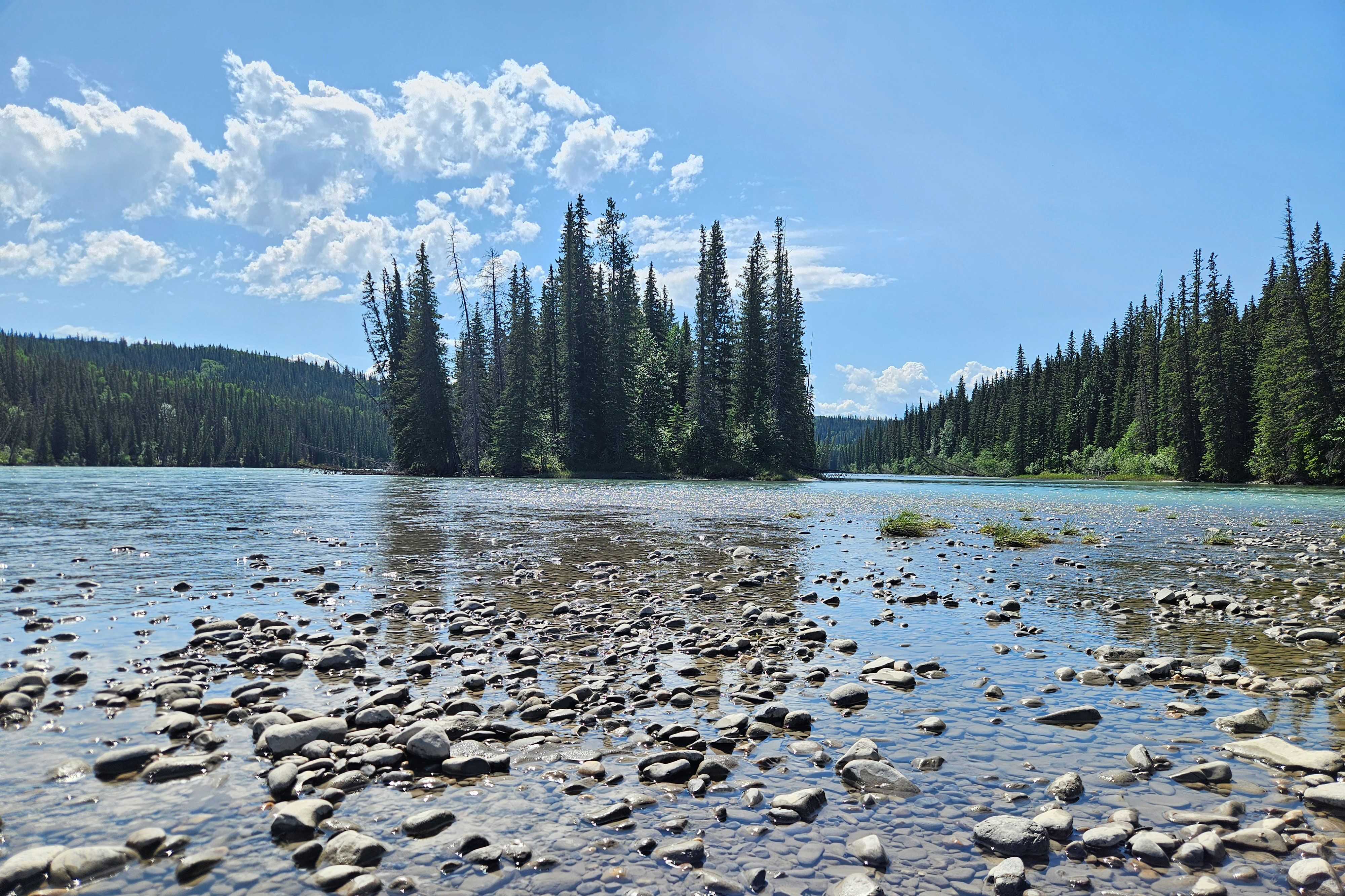 Schöne Natur am Athabasca River