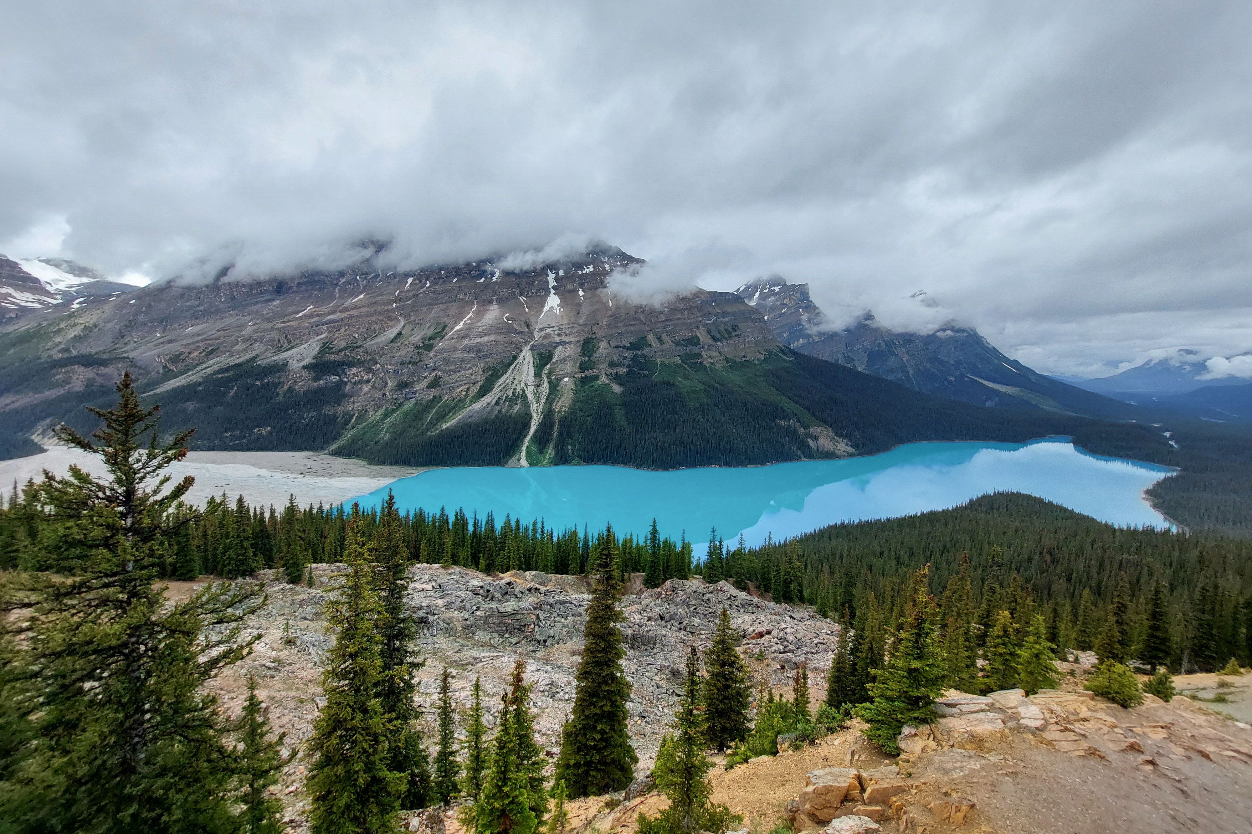 Türkisfarbener Peyto Lake im Banff Naionalpark in Alberta
