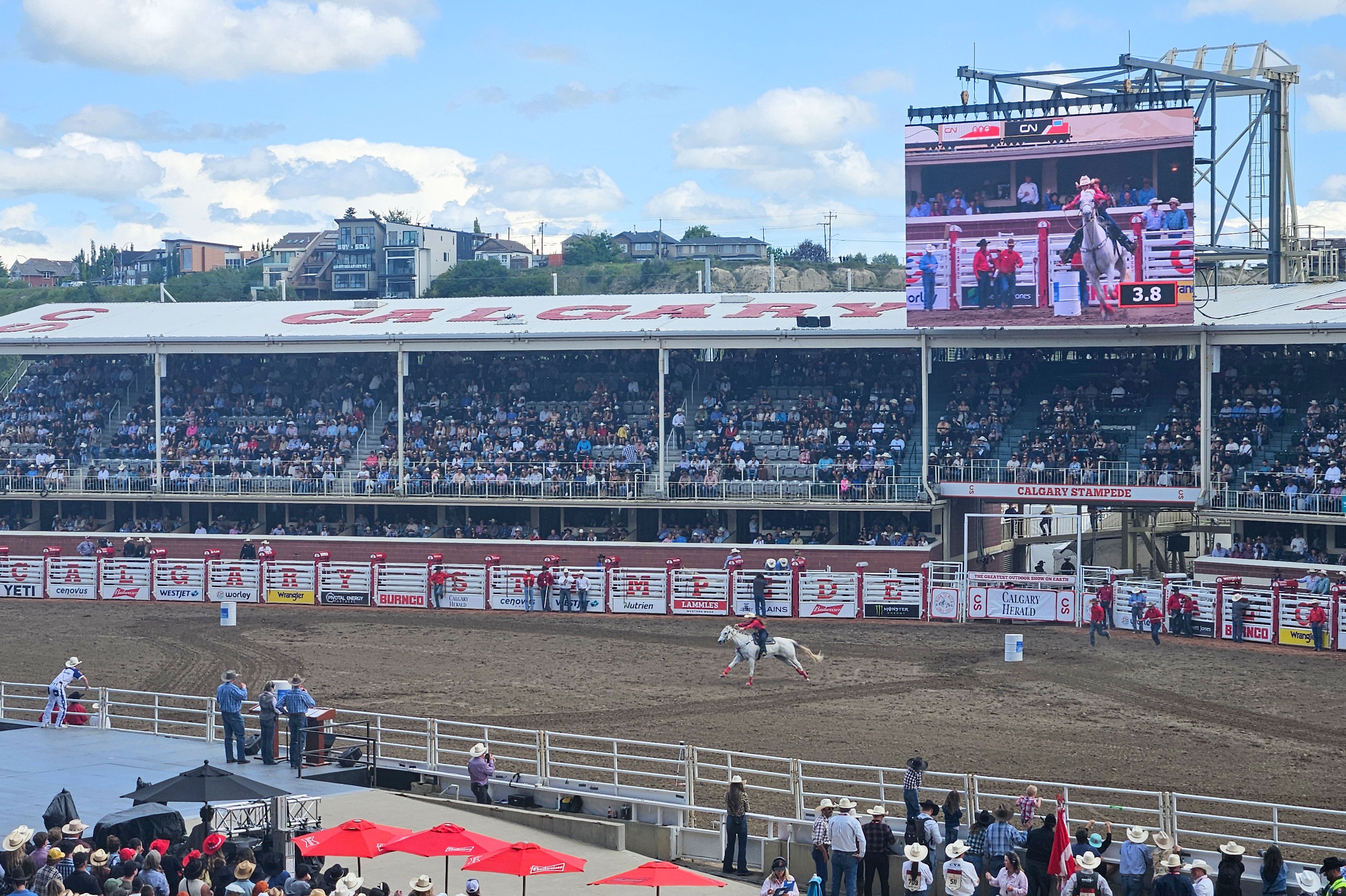 Rode in Calgary Stampede